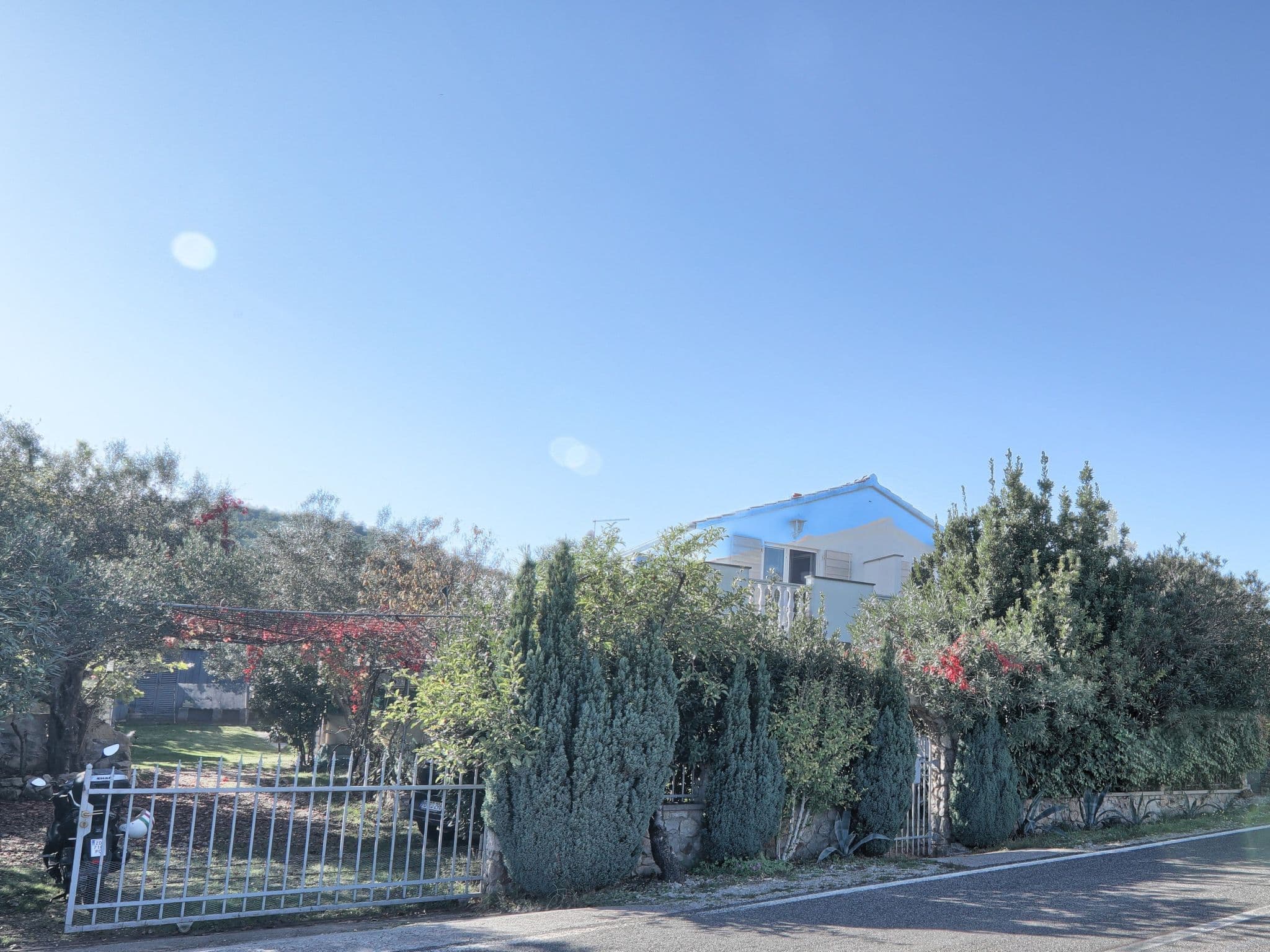 Gallery Image 1