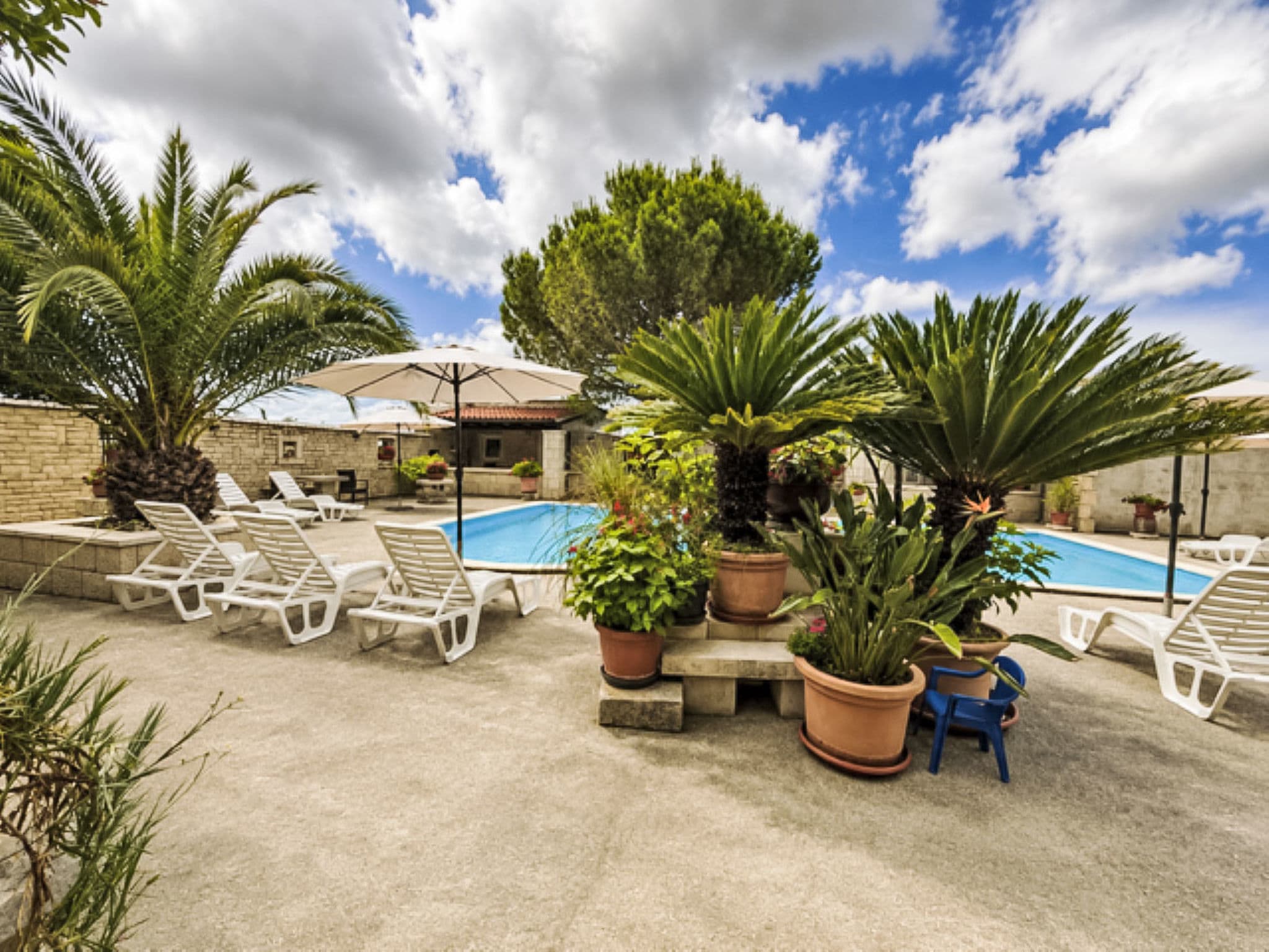 Pool Outdoor
