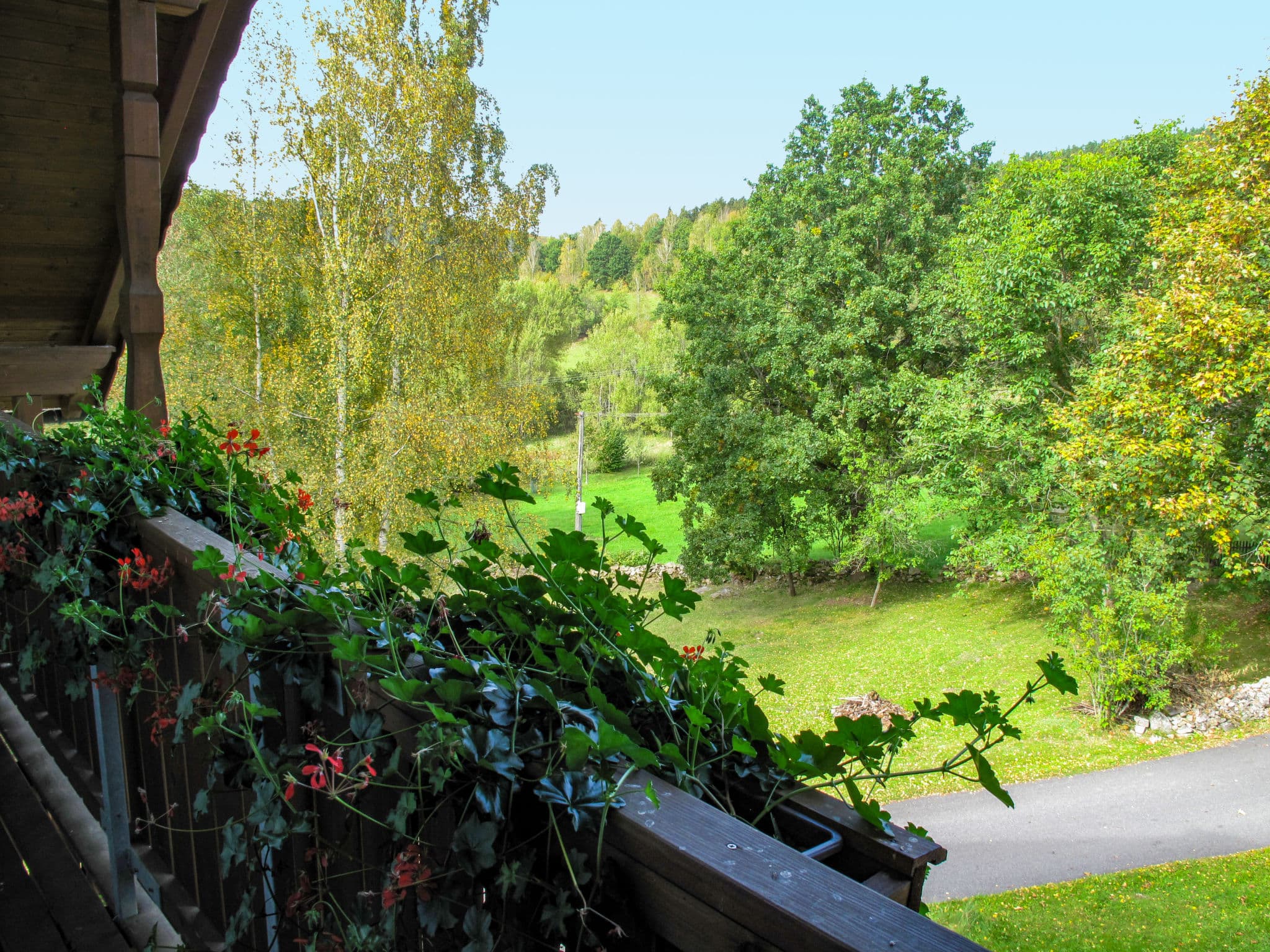 View