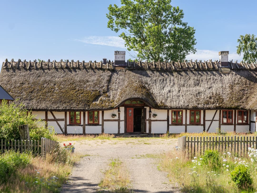 Large Image