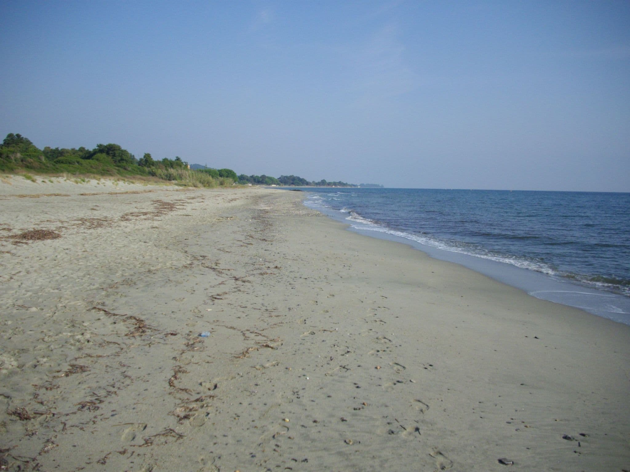Gallery Image 19