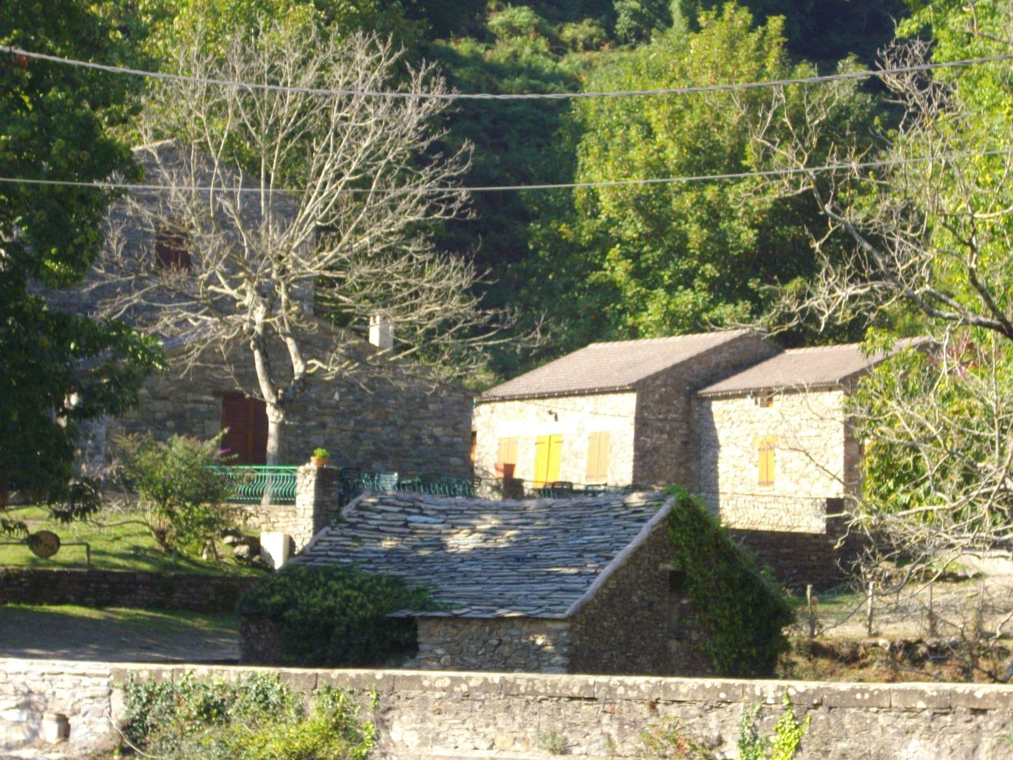 Gallery Image 24