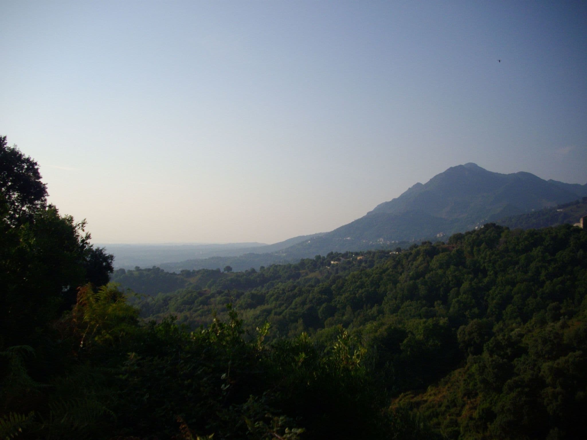 View