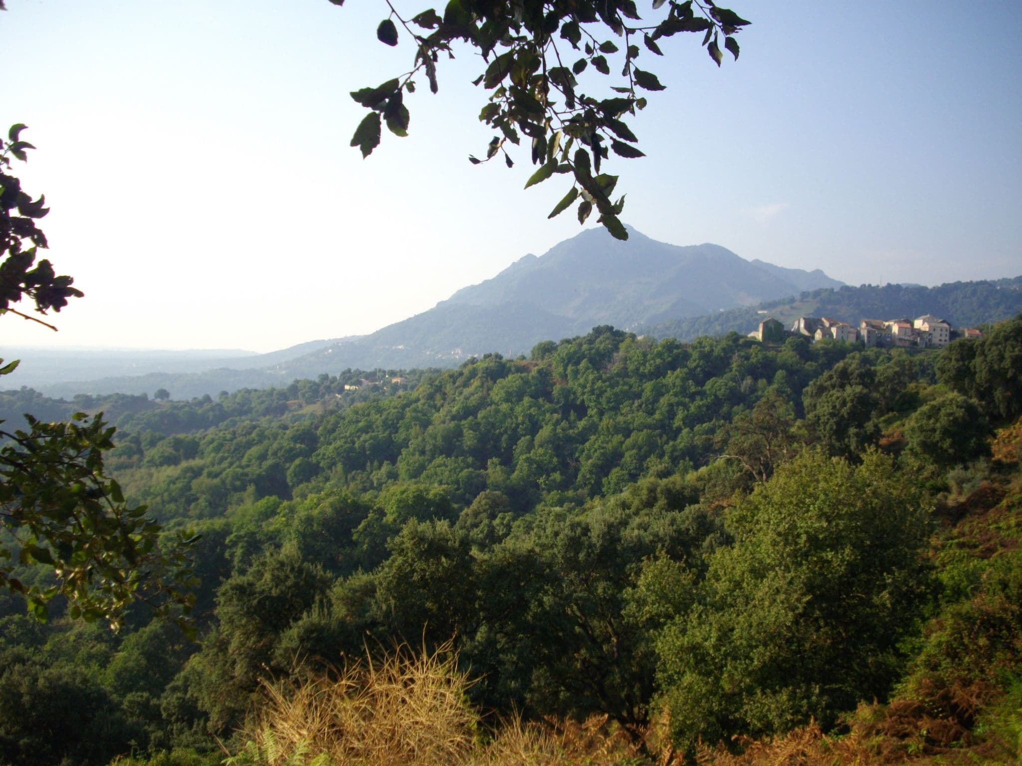 View