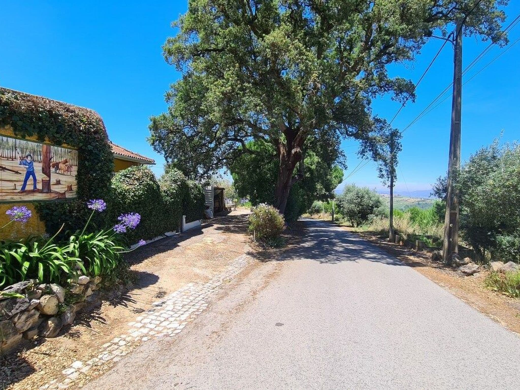 Gallery Image 17