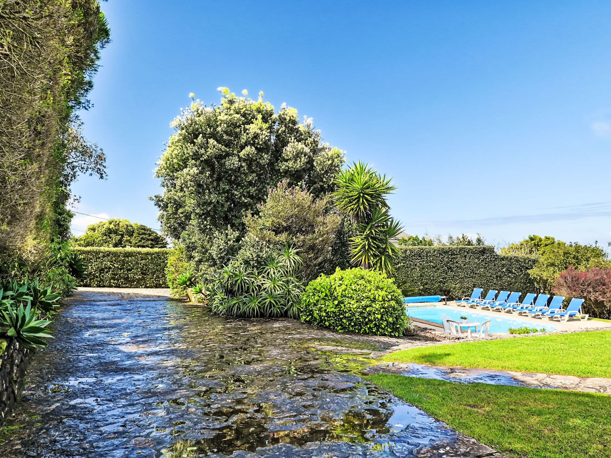 Pool Outdoor