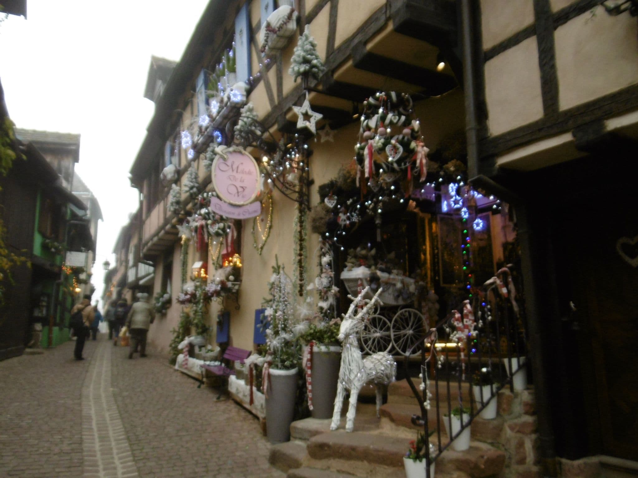 Gallery Image 25