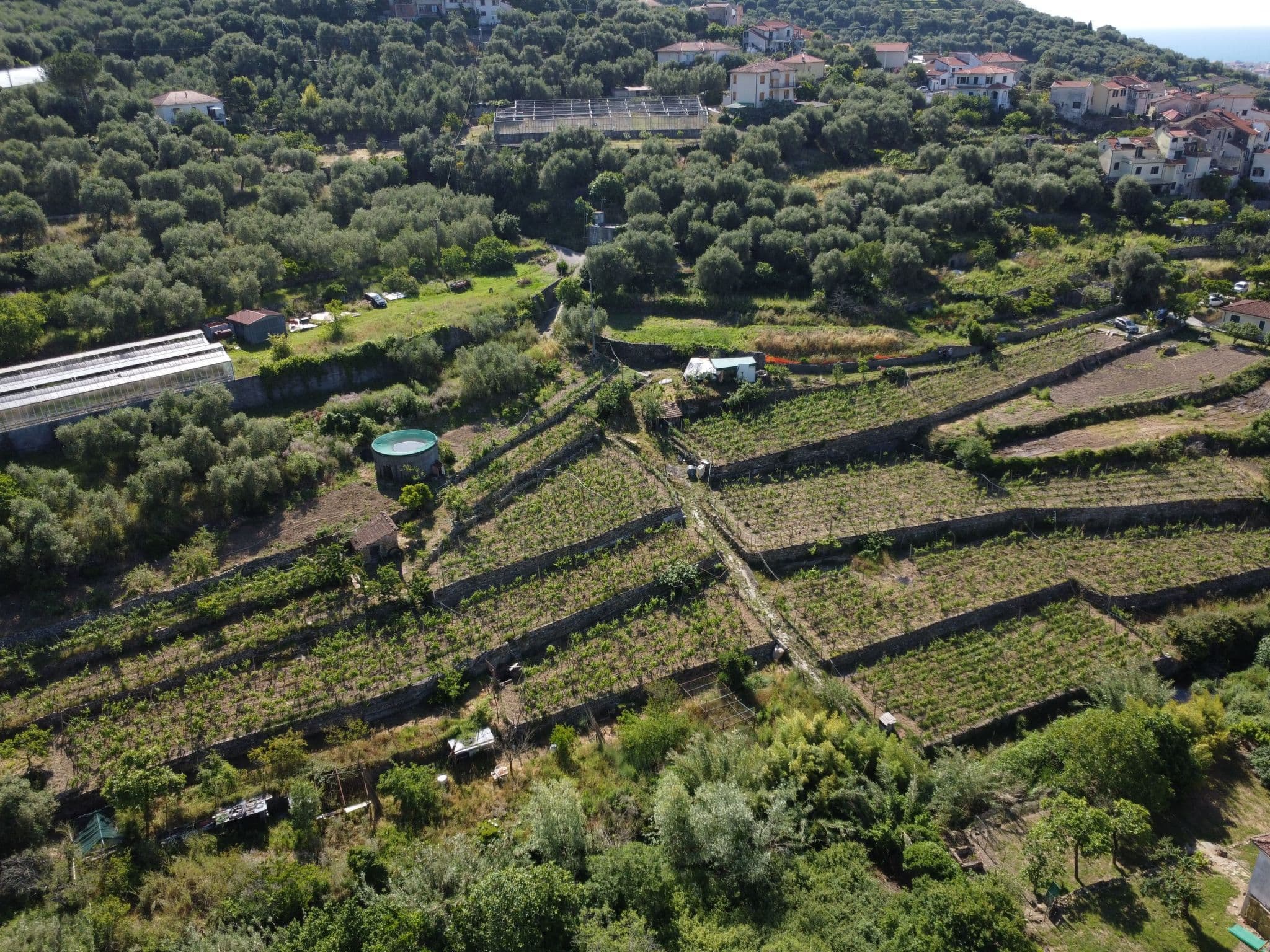 Aerial photography
