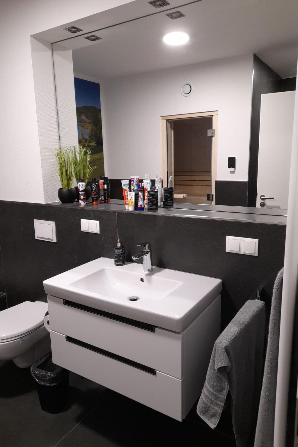 Bathroom / Wellness