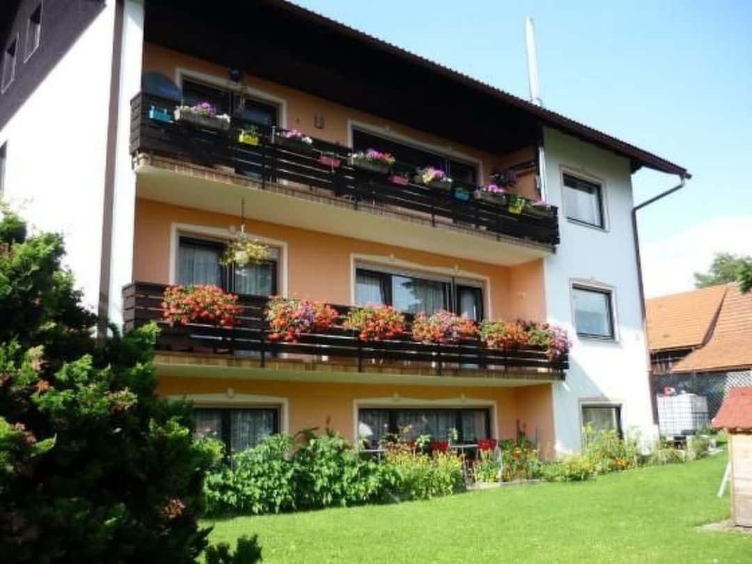 Large Image