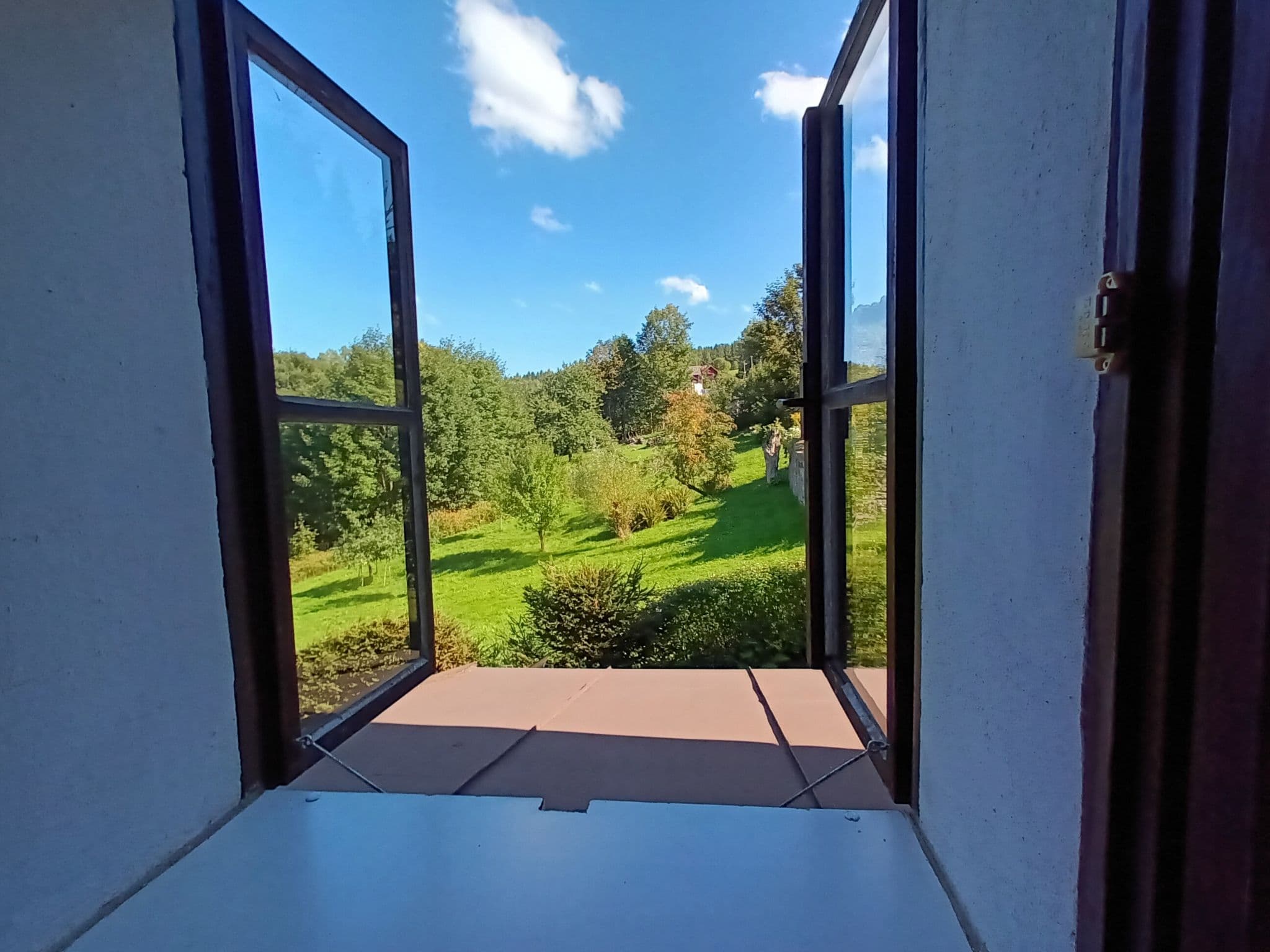 View