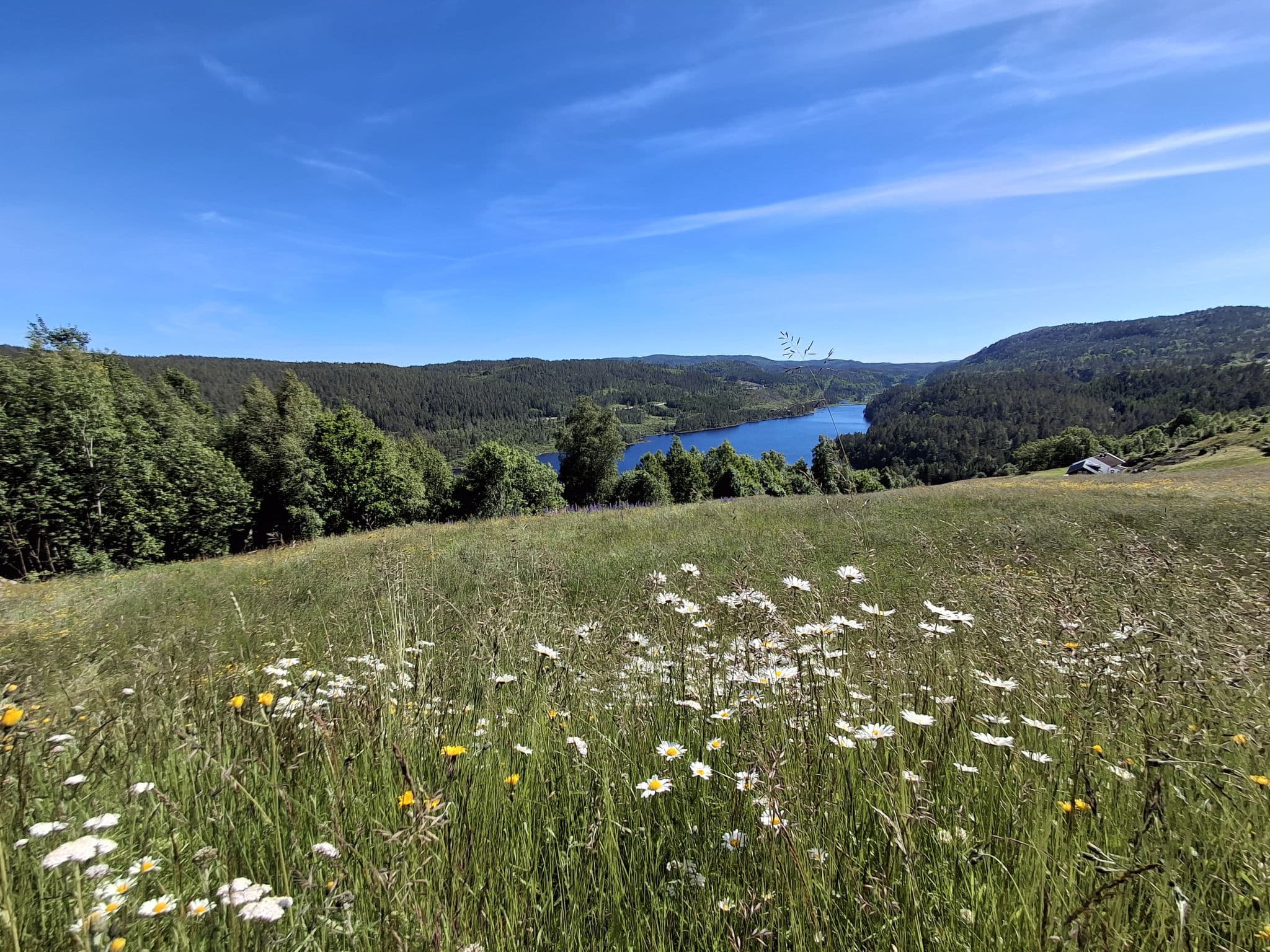 Place