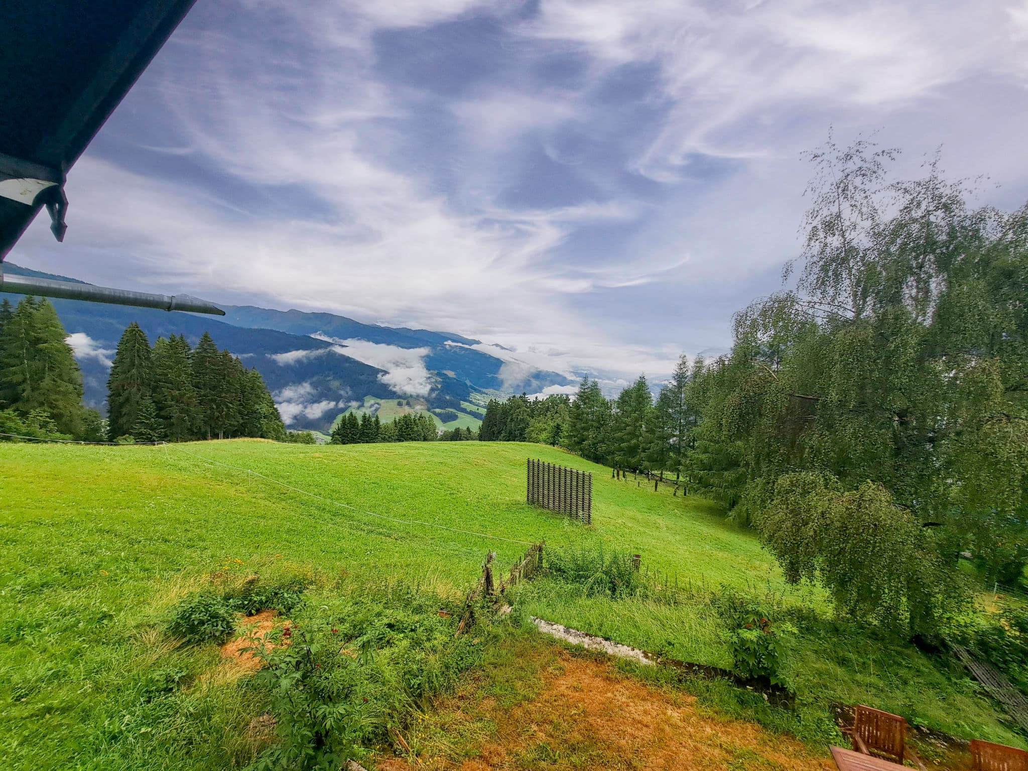 View