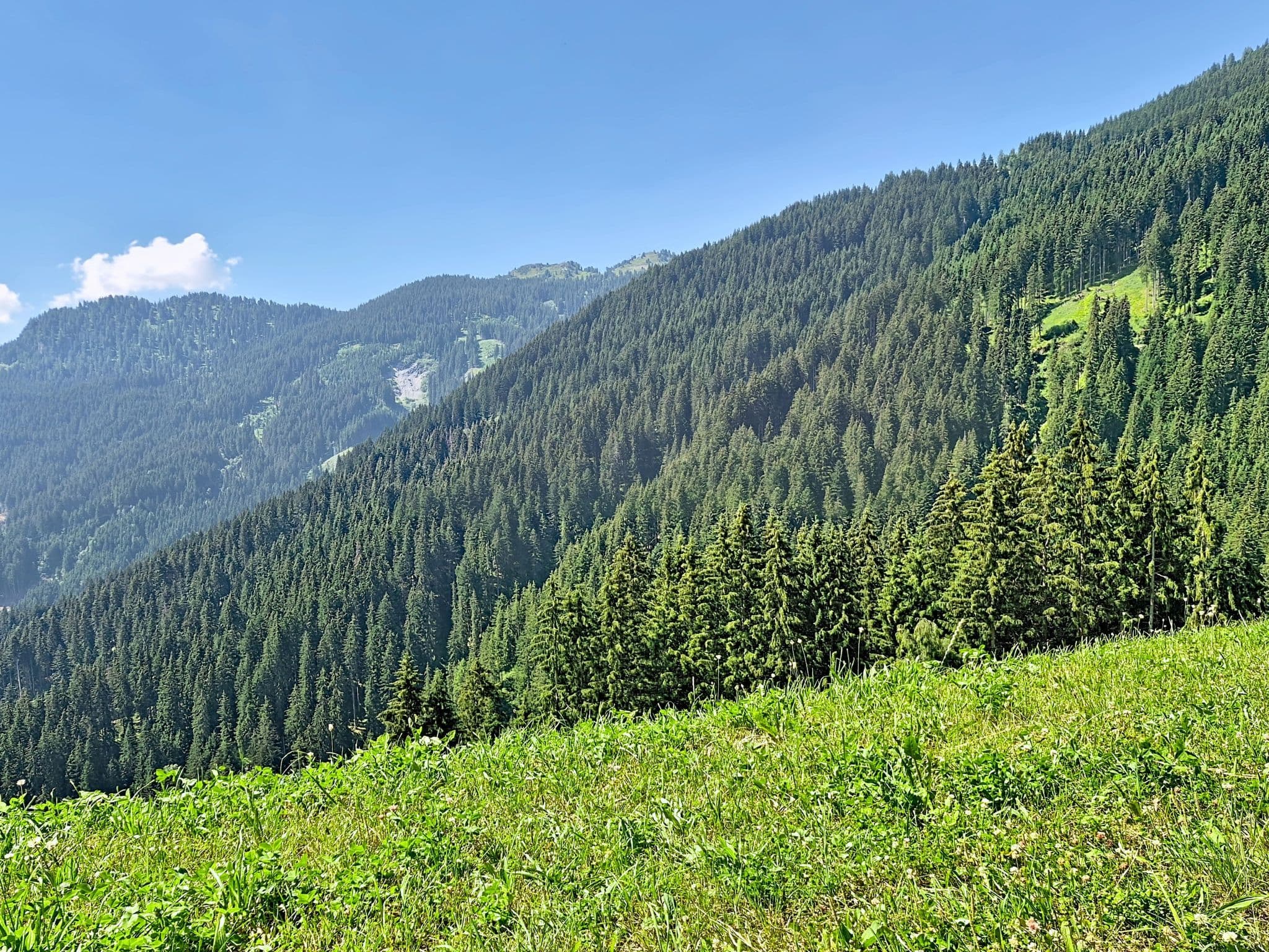 View