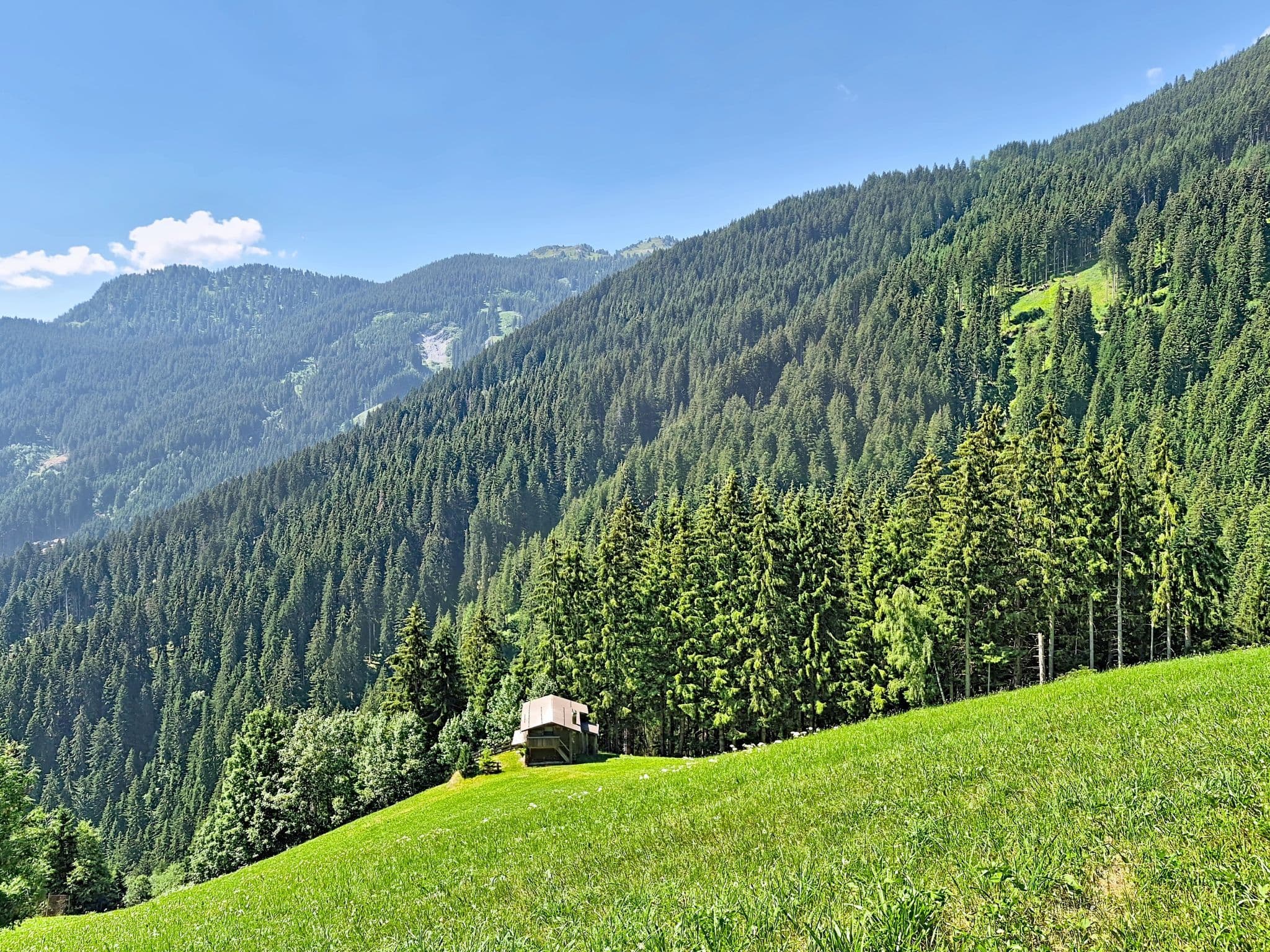 View