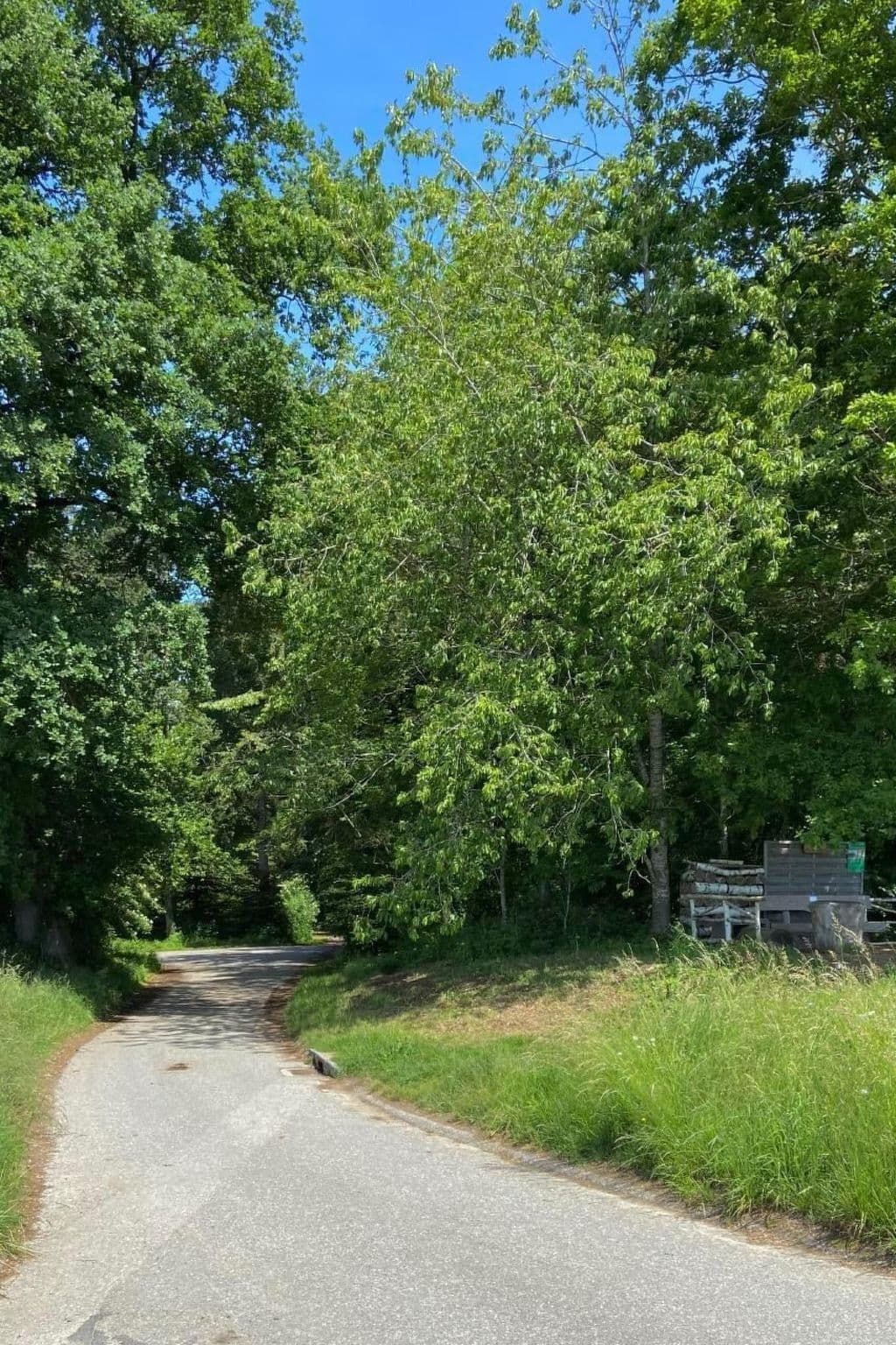 Gallery Image 15