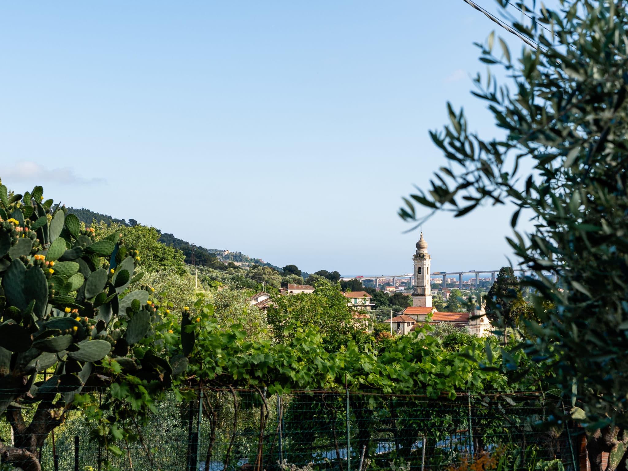 View