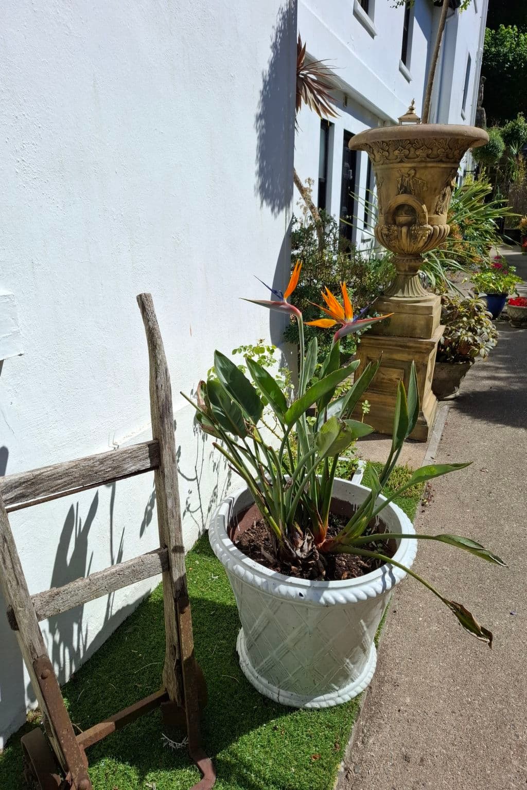 Terrace