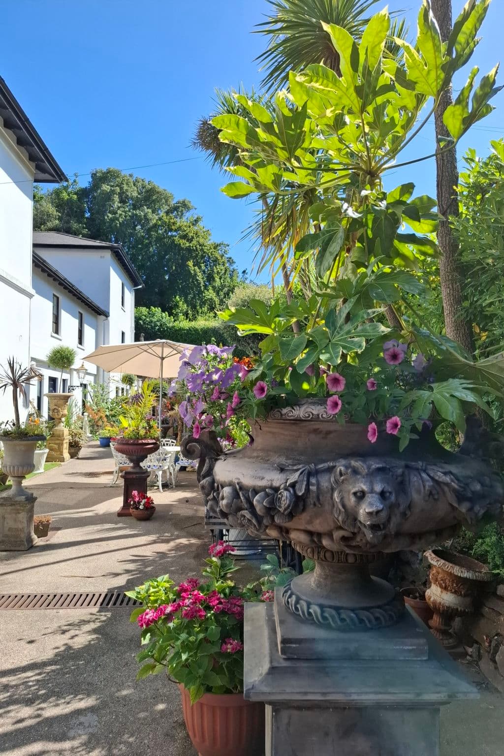 Terrace