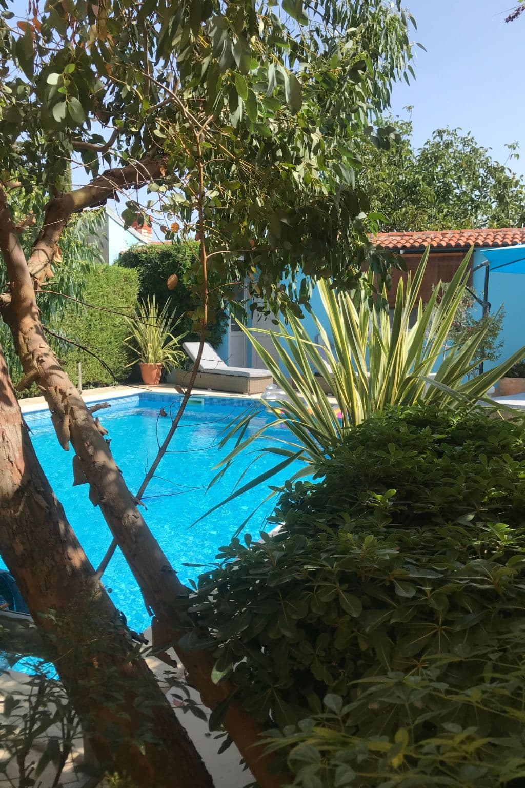 Pool Outdoor