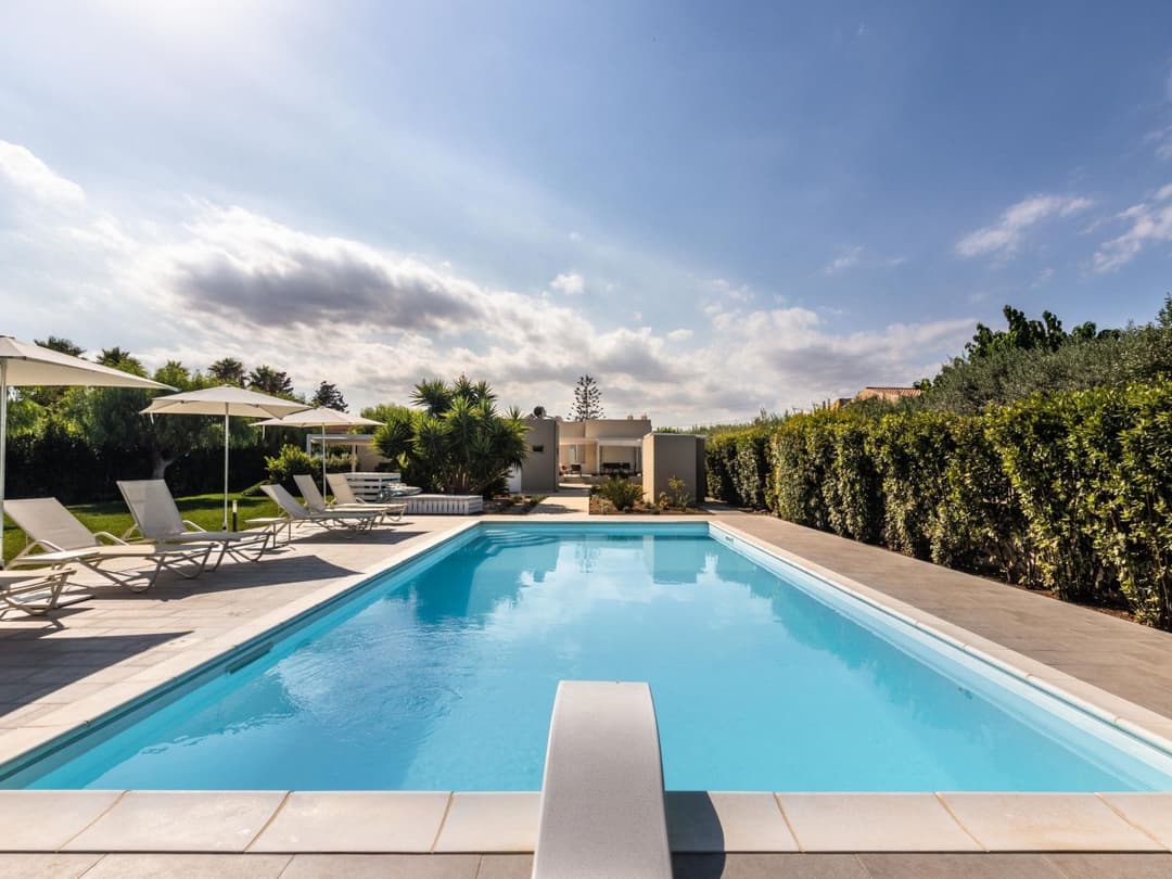 Large Image