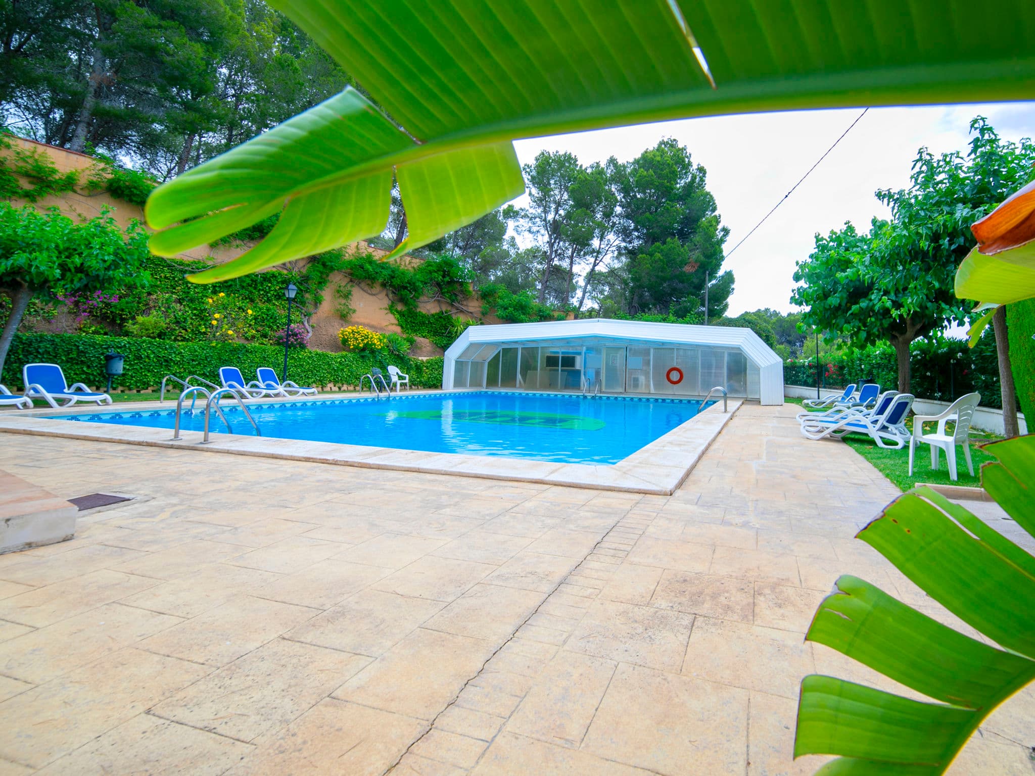 Pool Outdoor