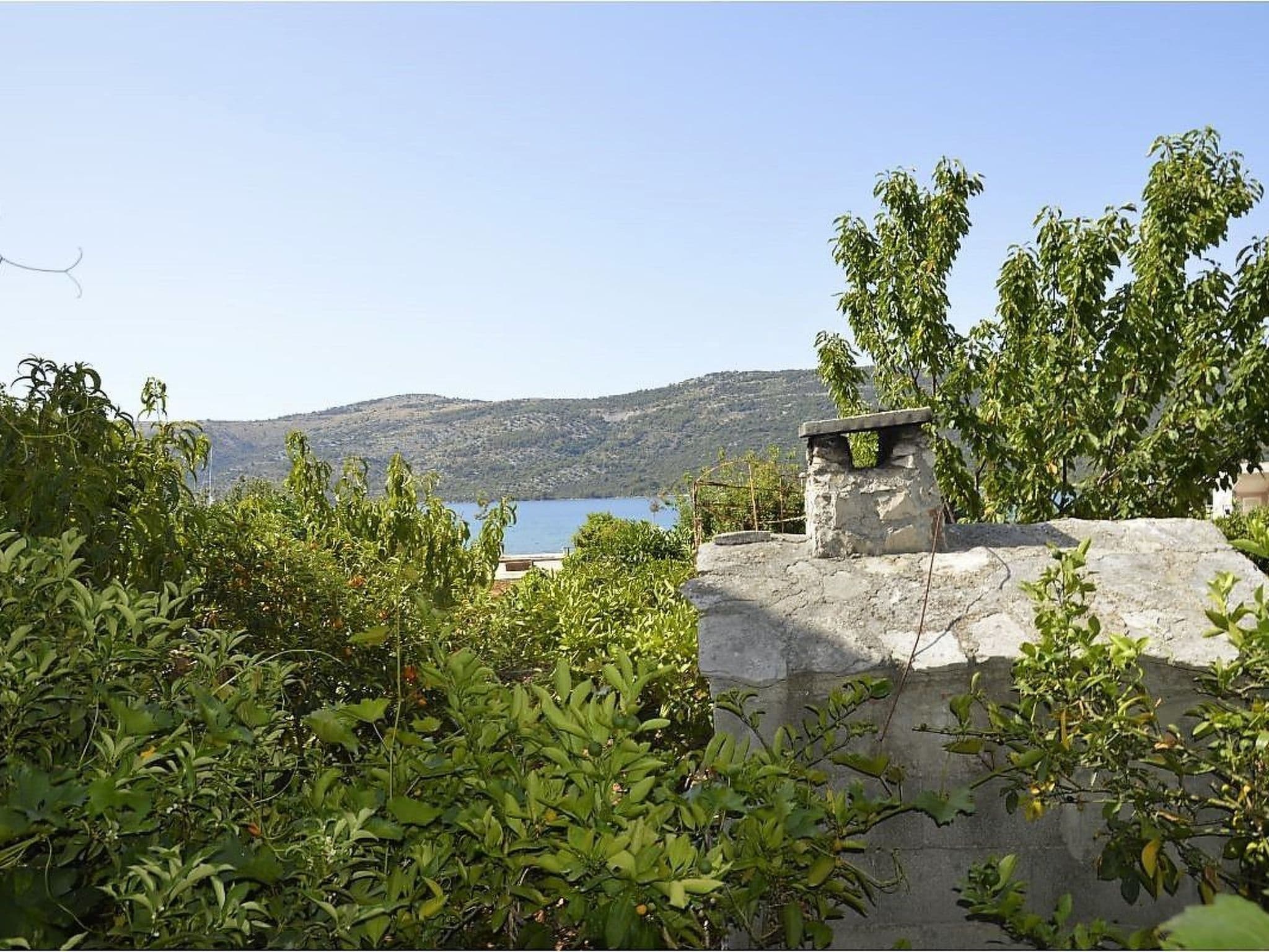 Gallery Image 10