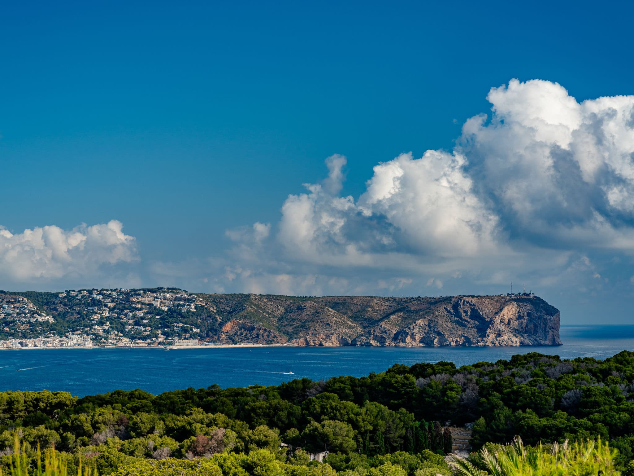 View