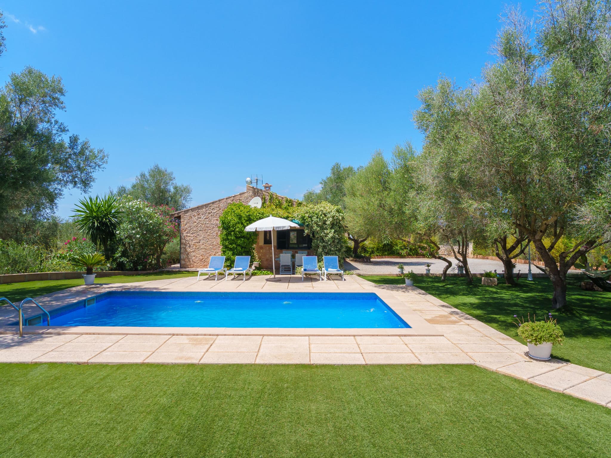Pool Outdoor