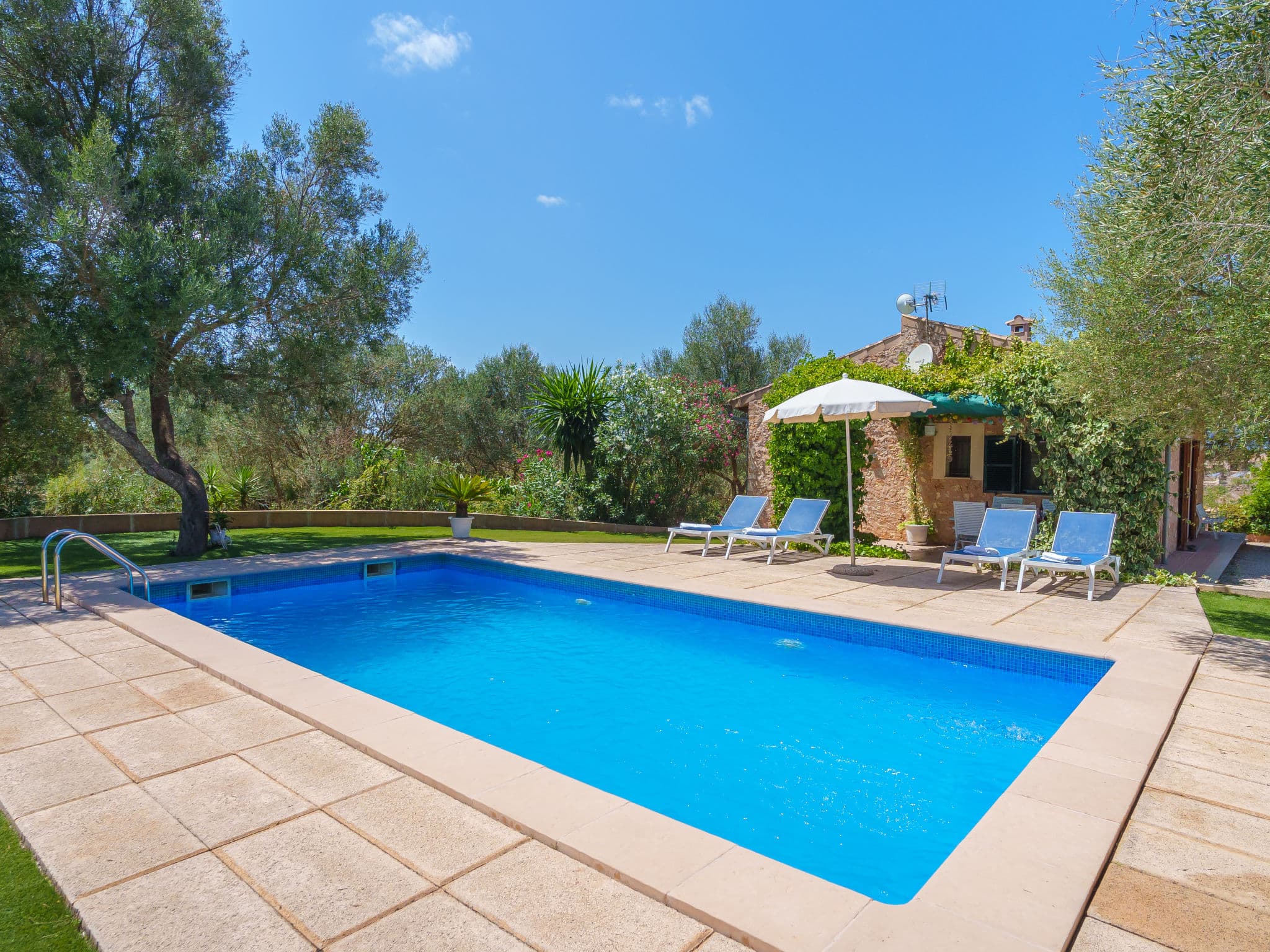 Pool Outdoor
