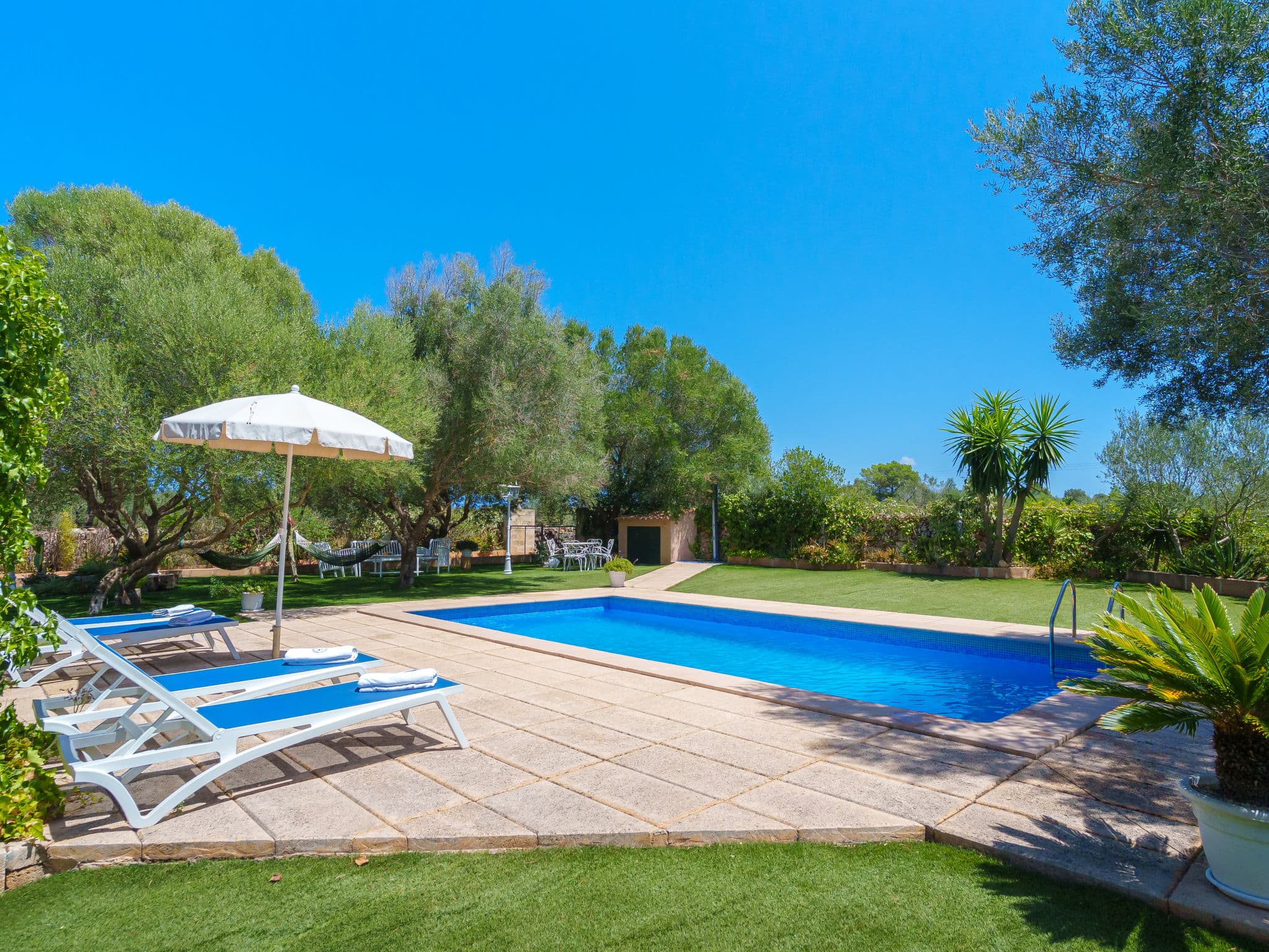Pool Outdoor