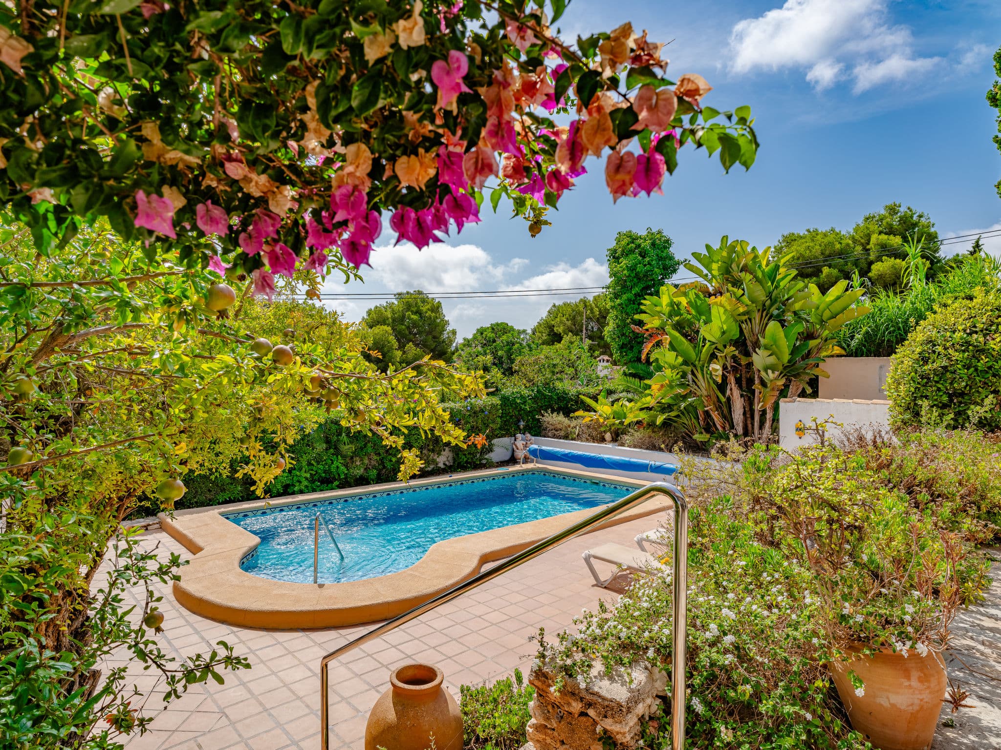 Pool Outdoor