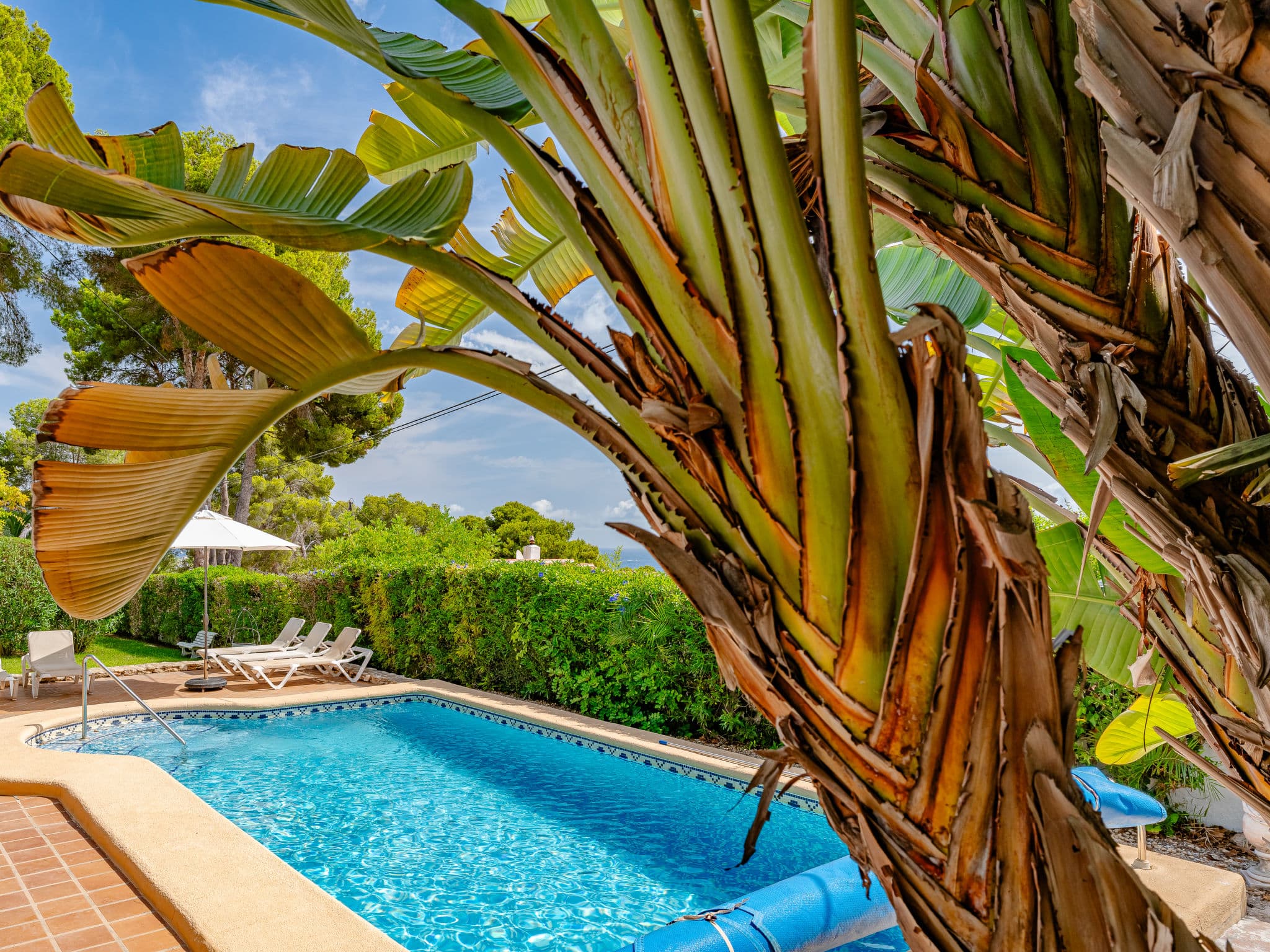 Pool Outdoor