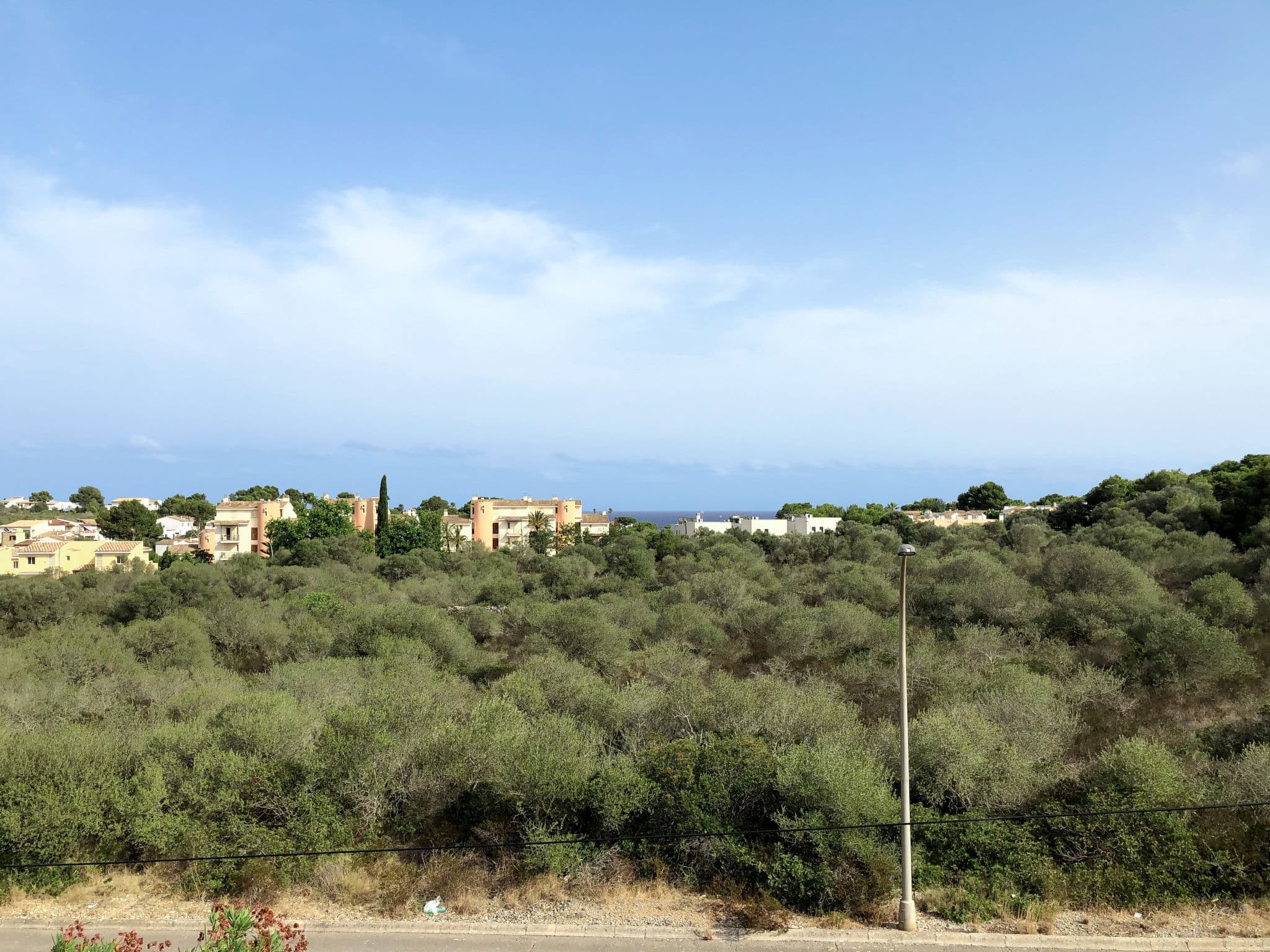 View