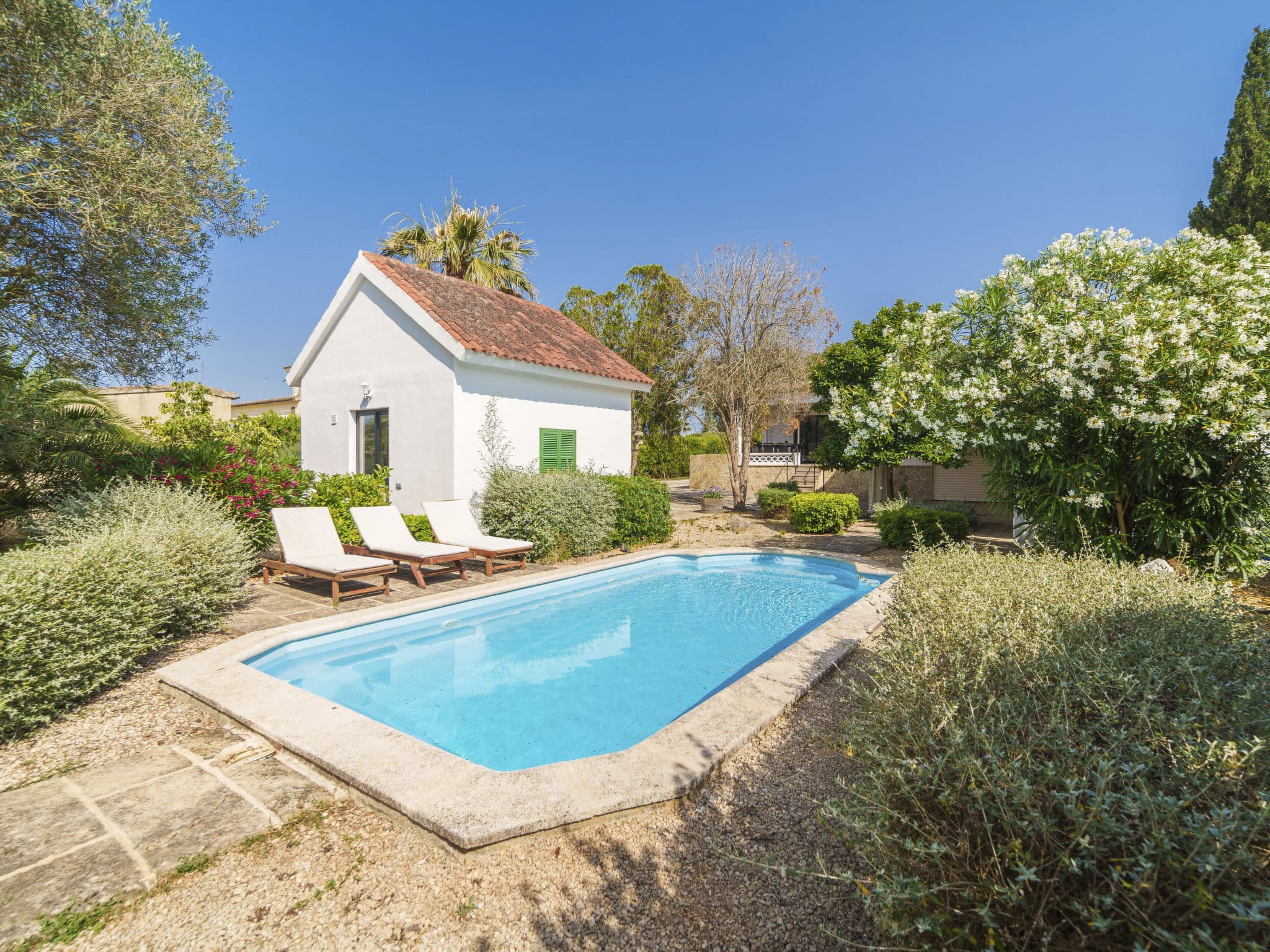 Pool Outdoor