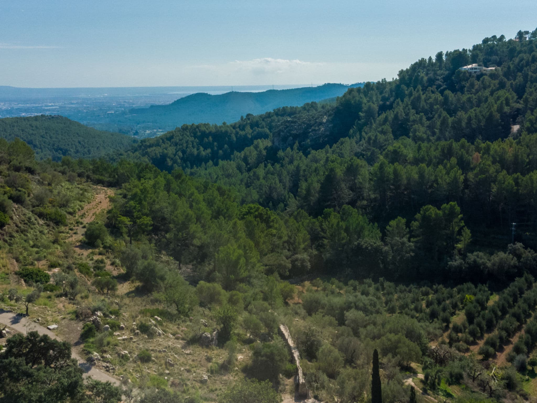 View