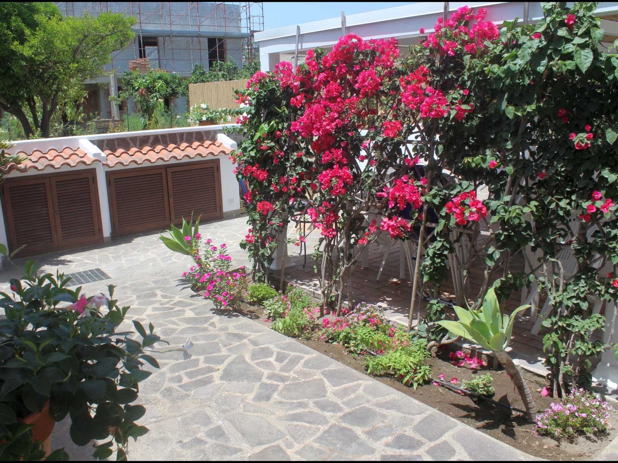 Gallery Image 19