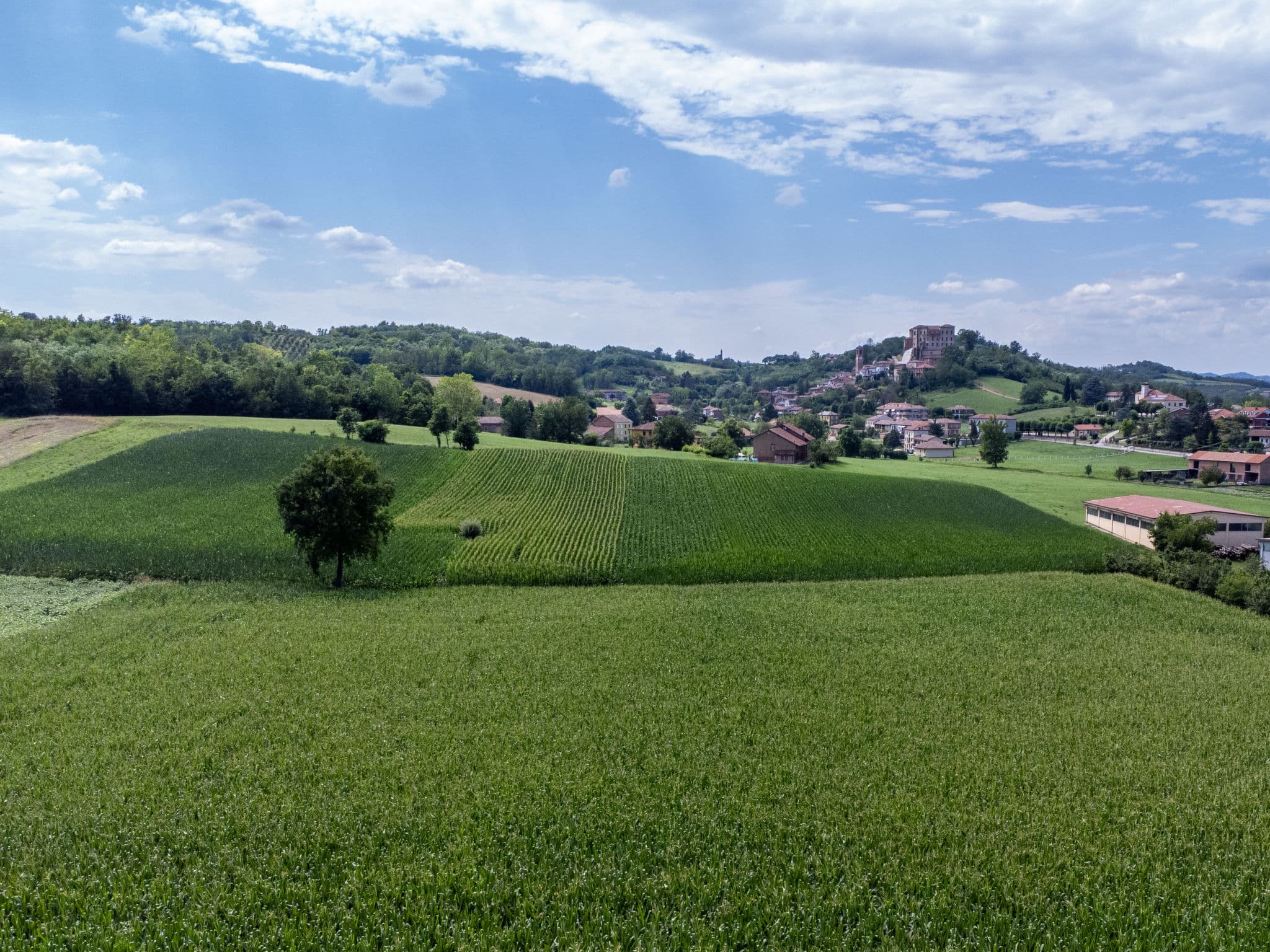 View