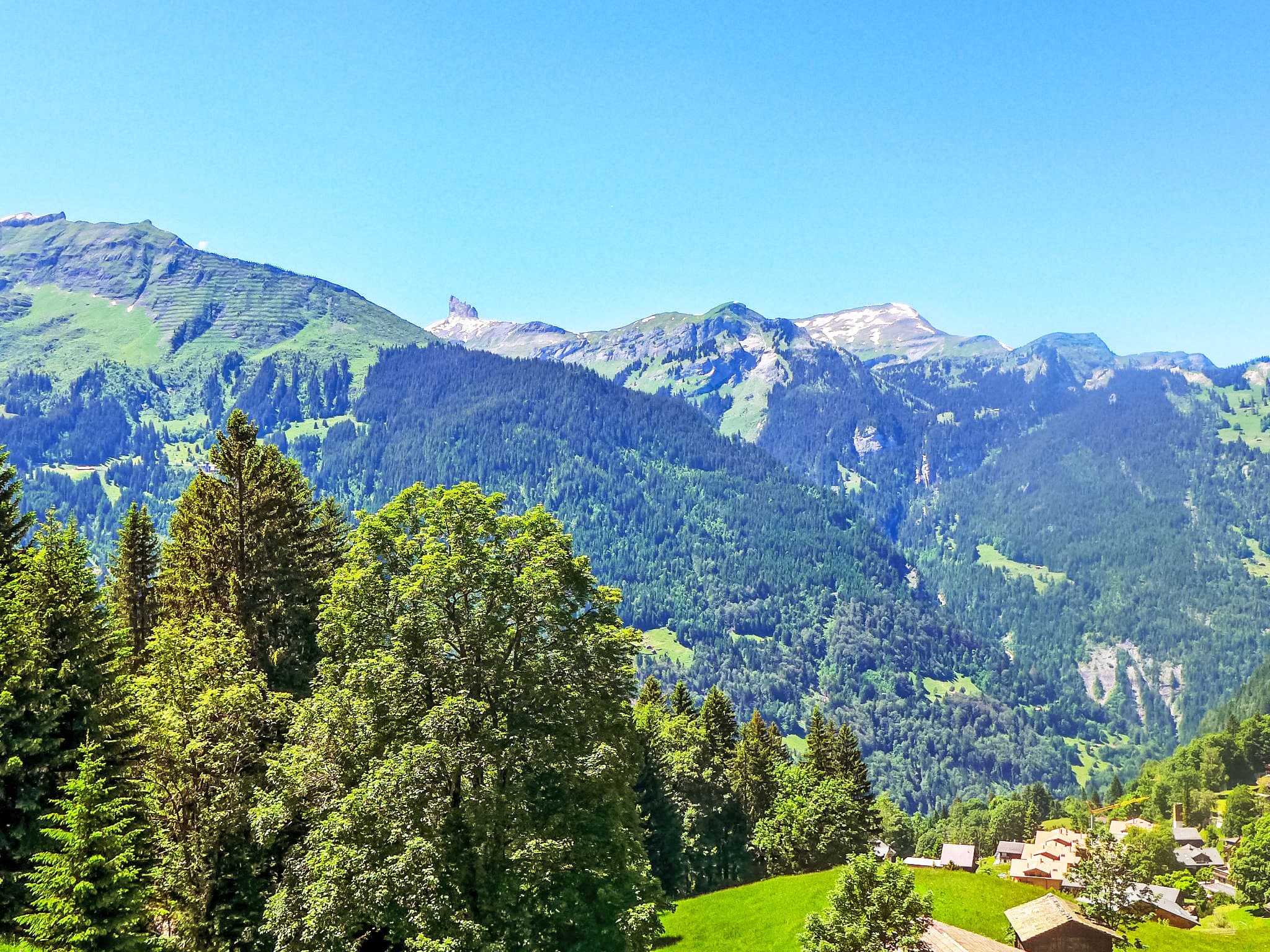 View