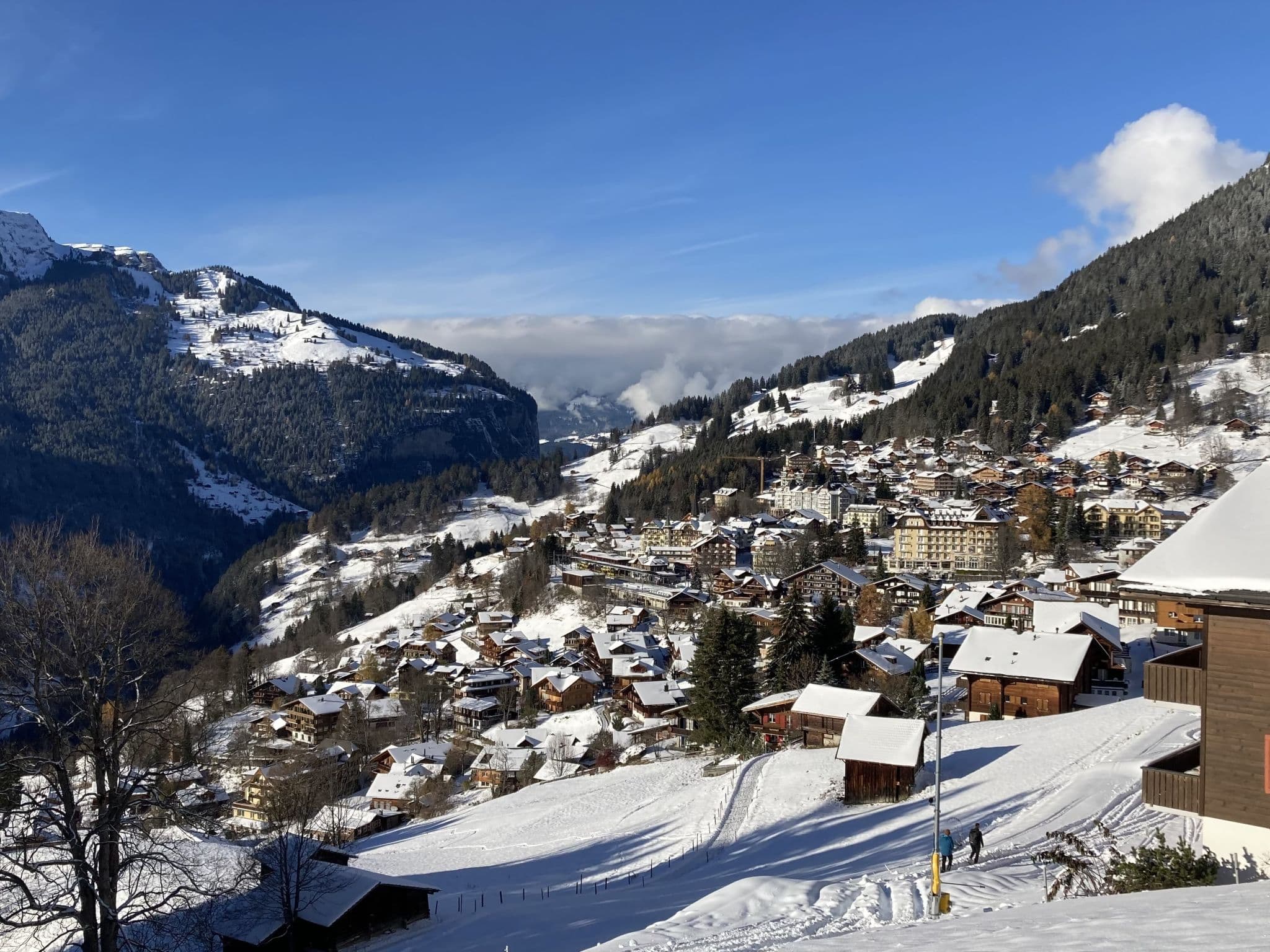 View