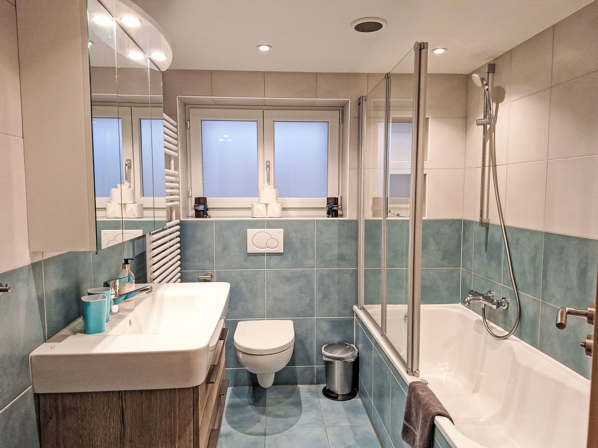 Bathroom / Wellness