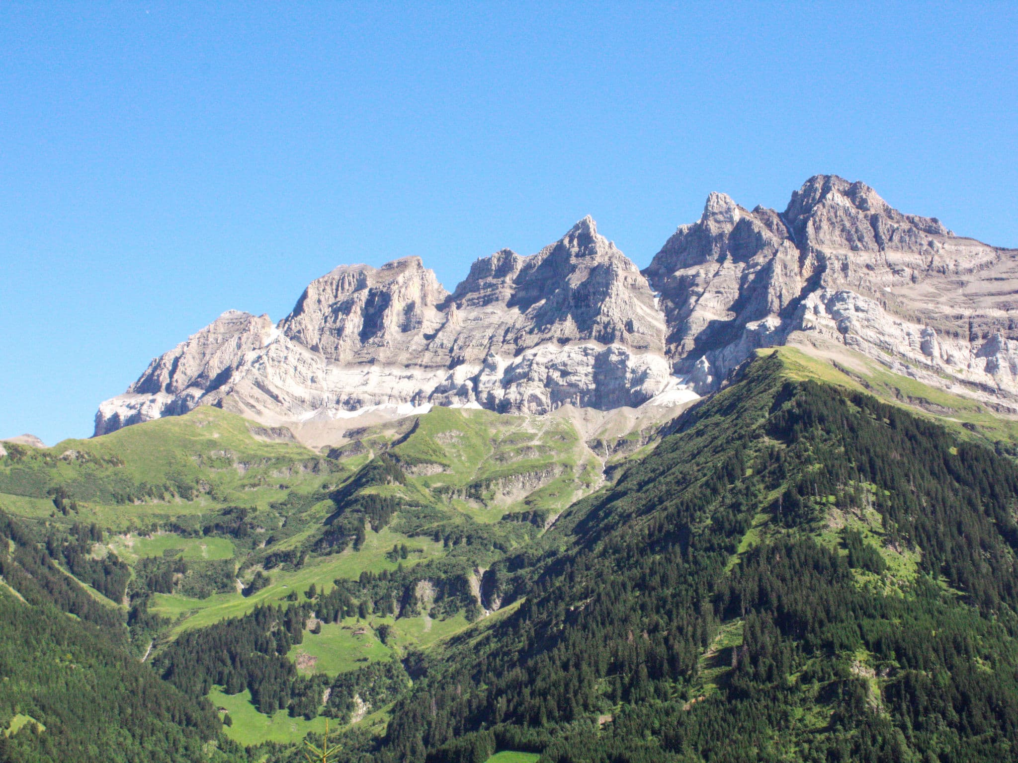 View