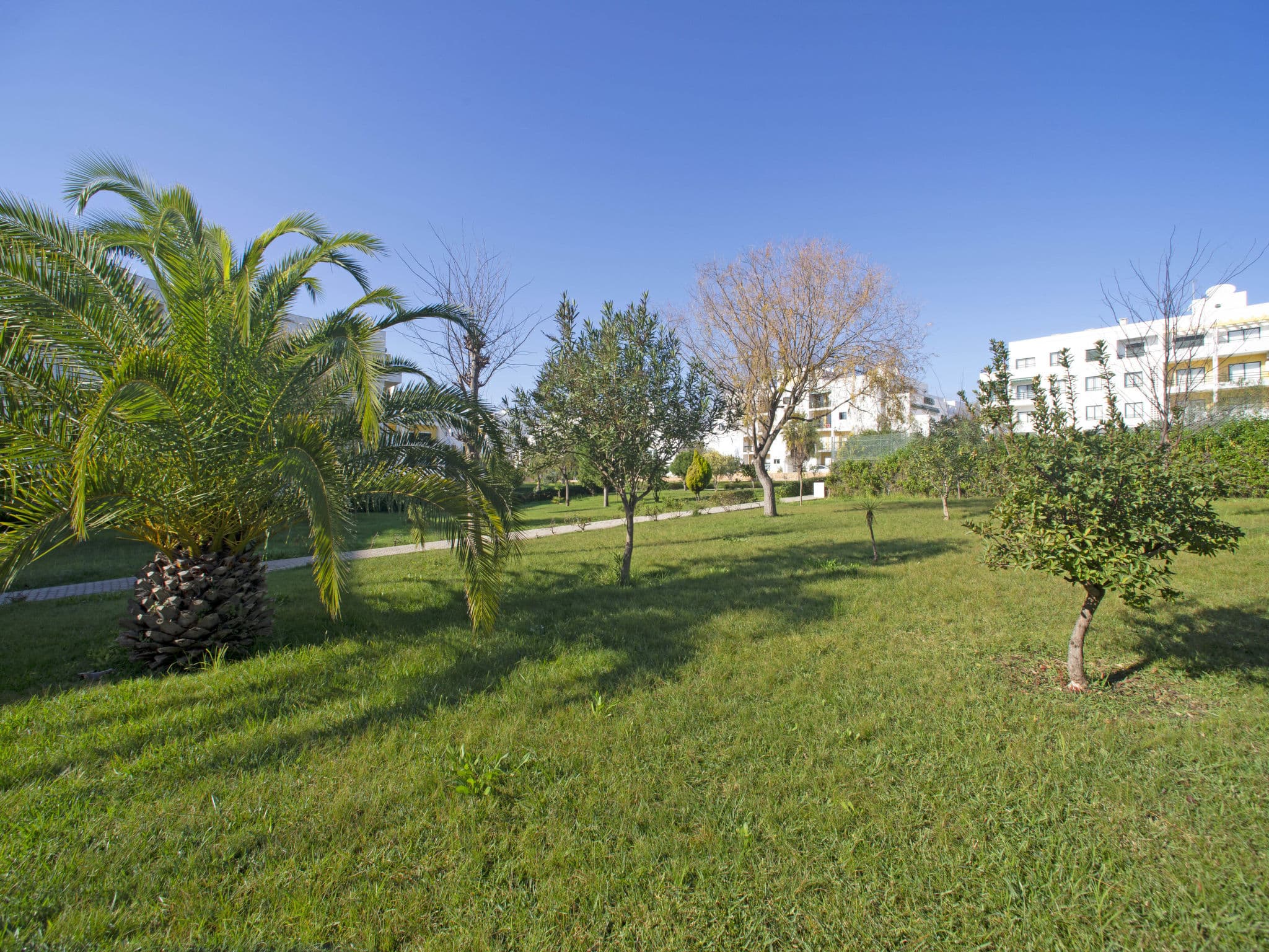 Outdoor