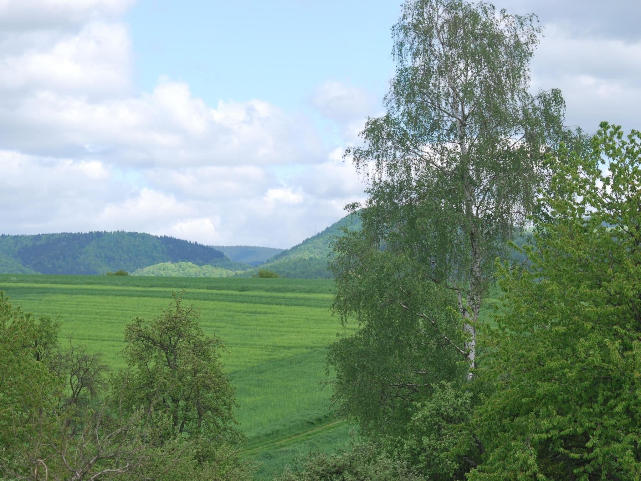 View