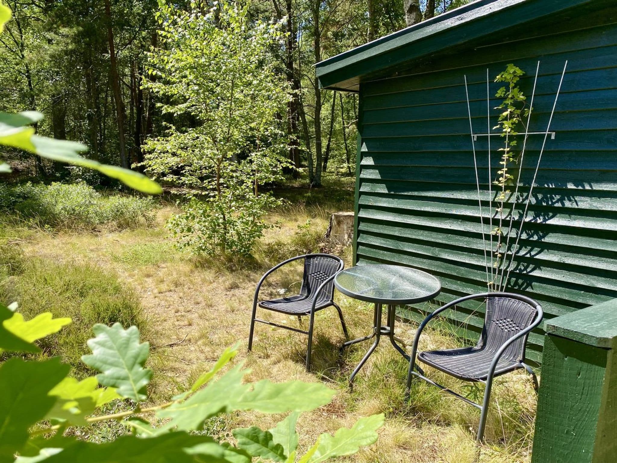 Outdoor