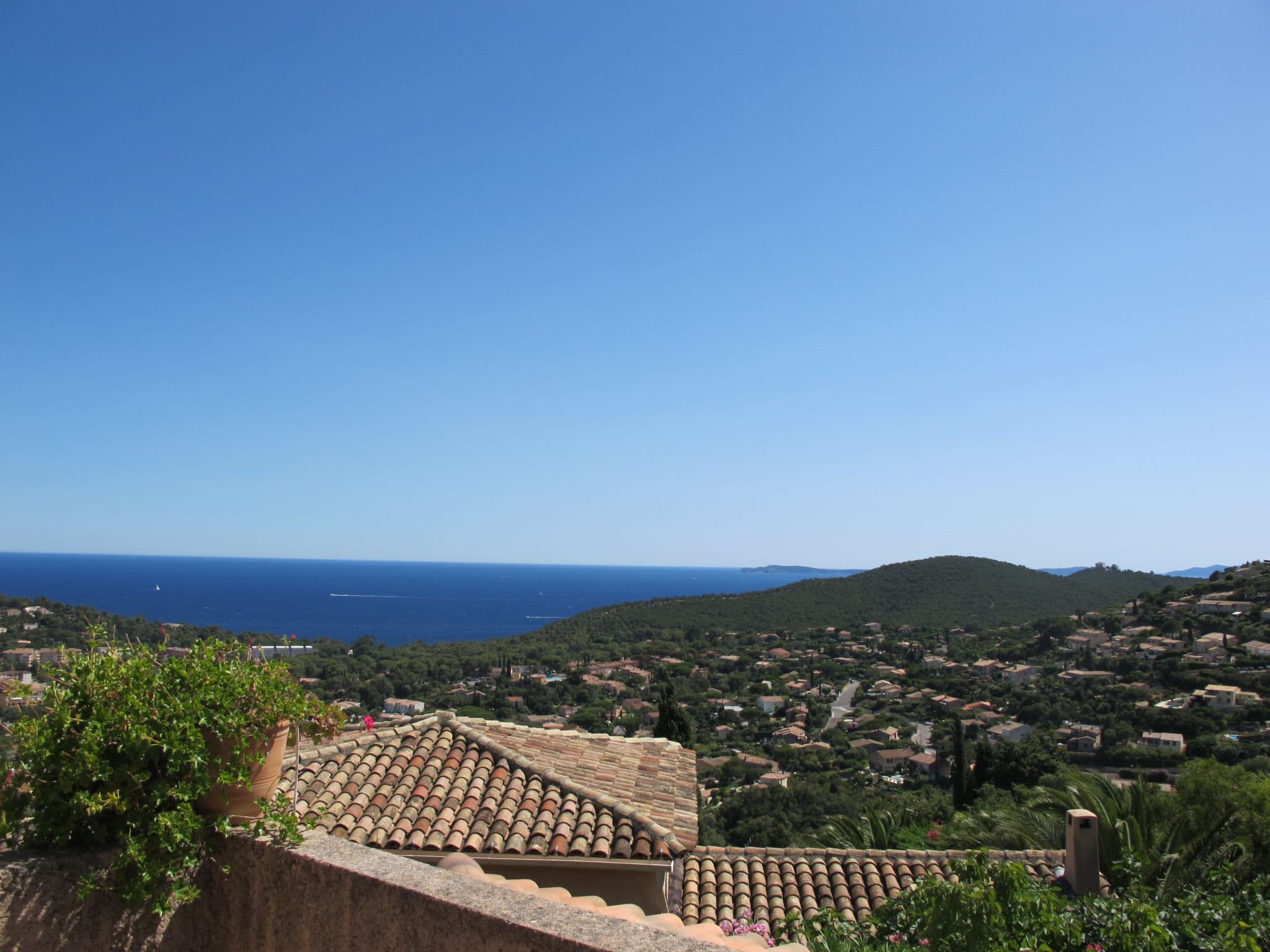 View