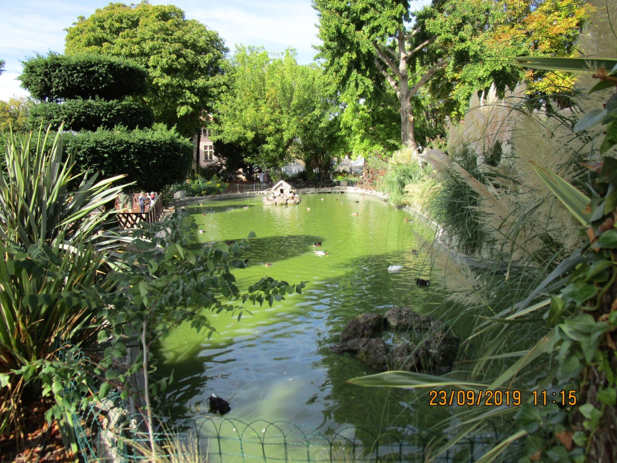Gallery Image 20