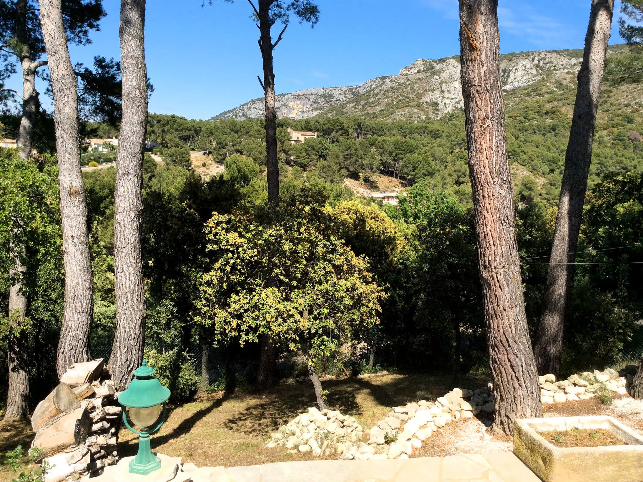 View