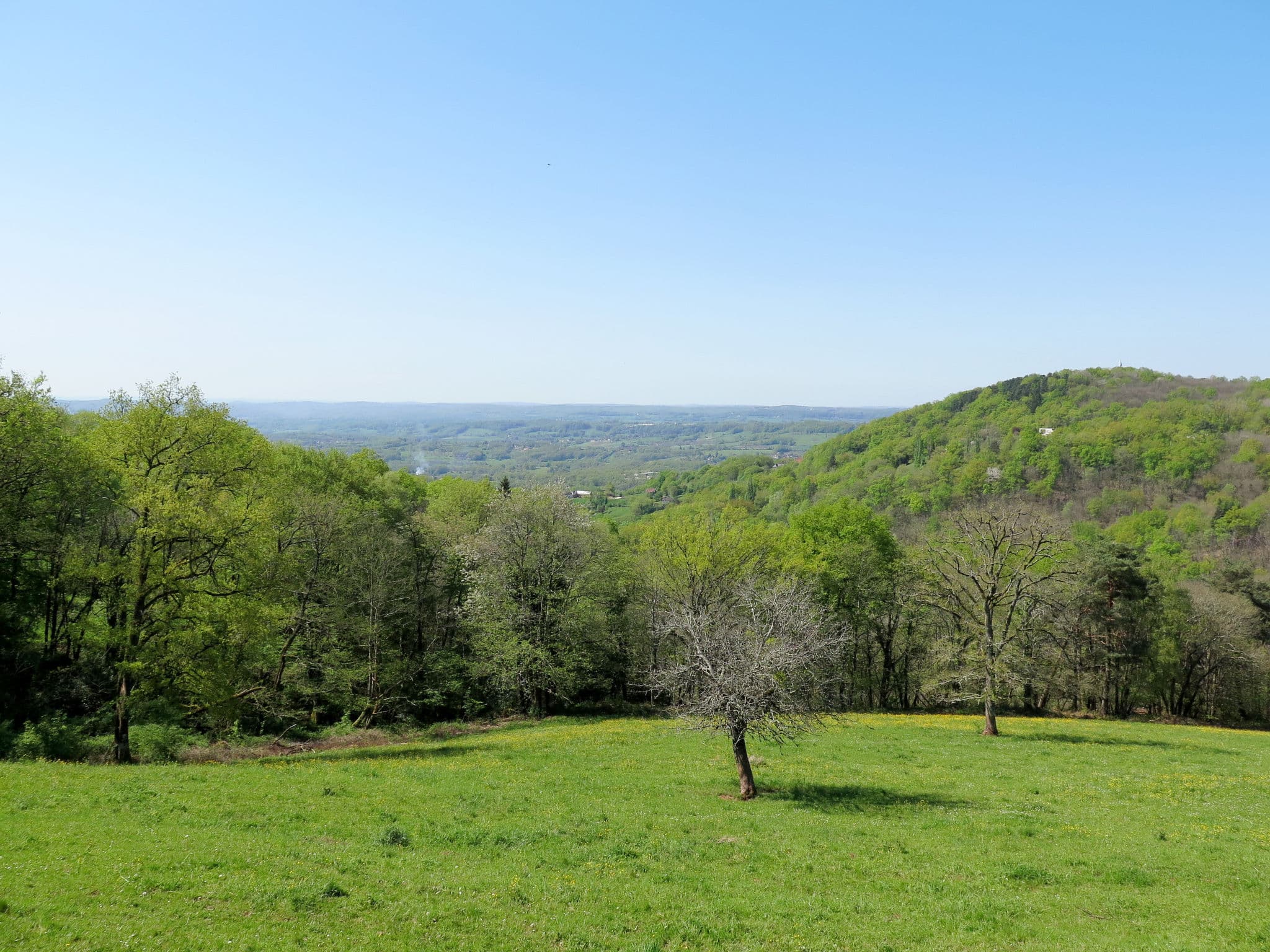 View
