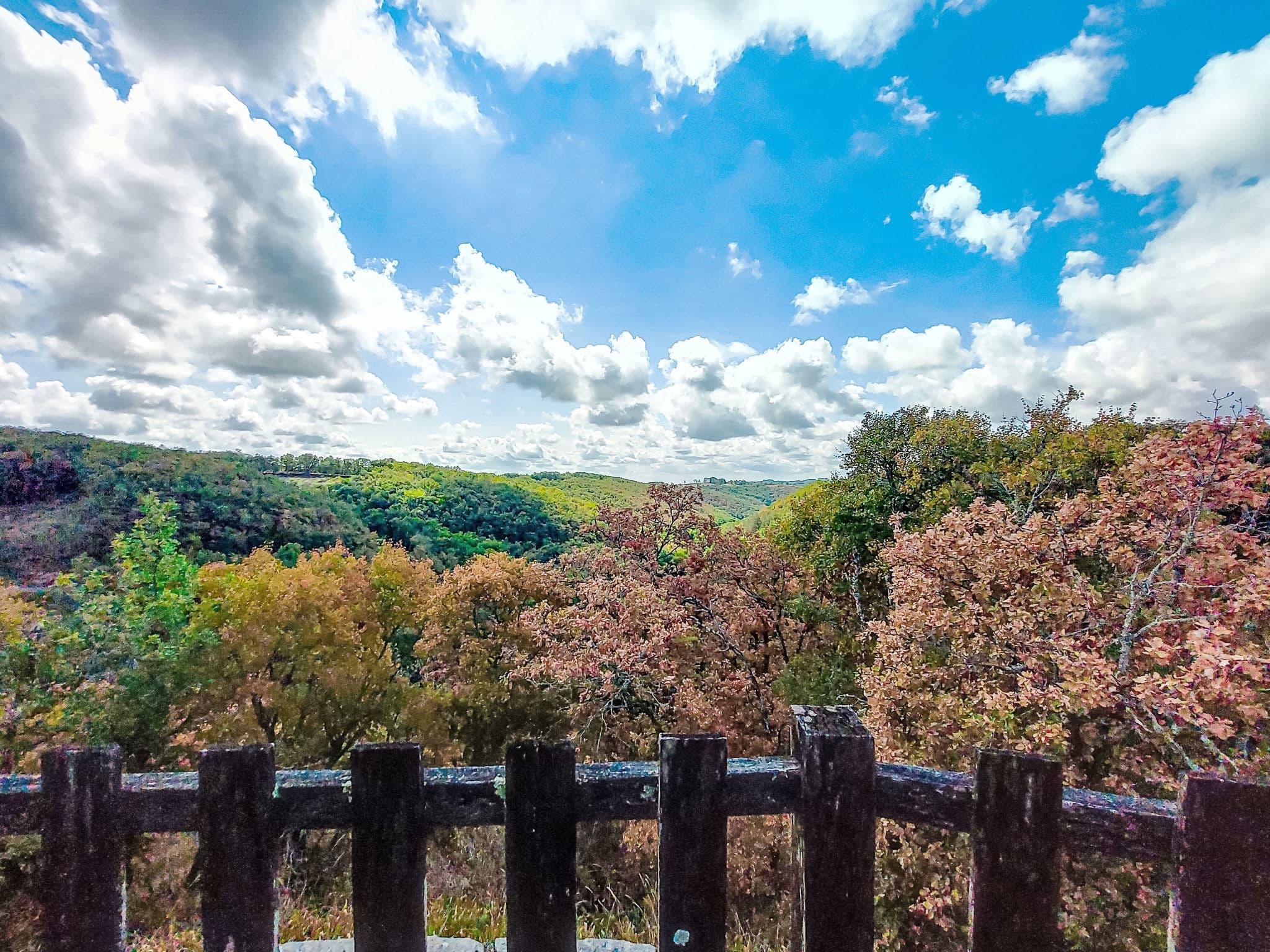 View